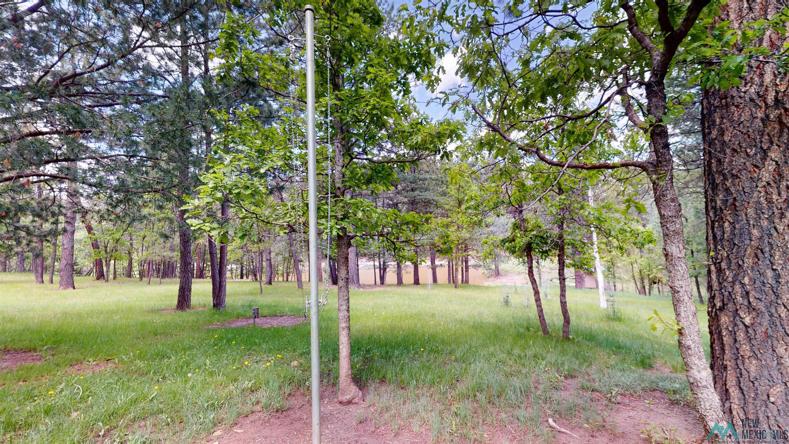 60 W Forest Drive, Rociada, Texas image 38