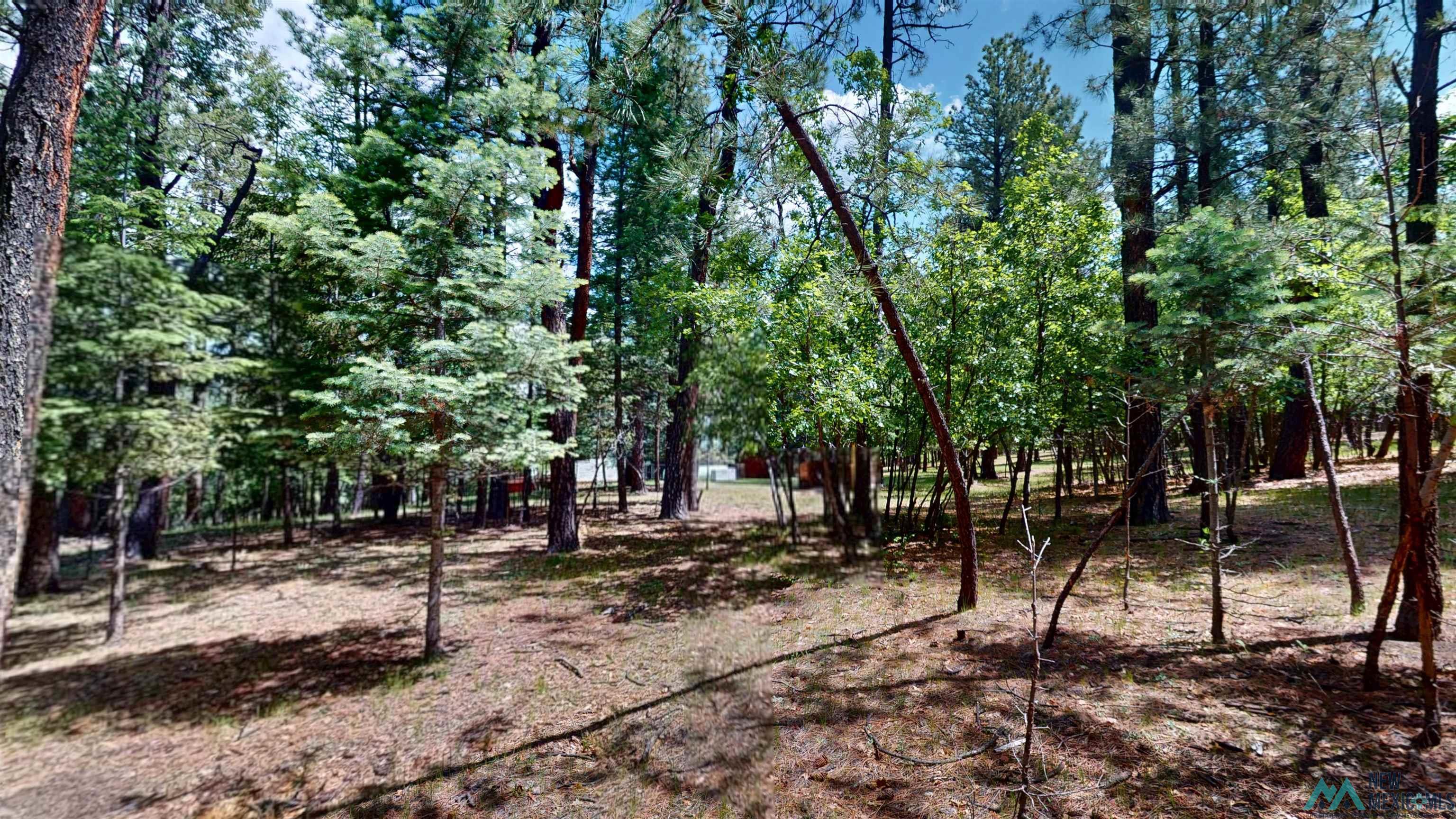 60 W Forest Drive, Rociada, Texas image 44