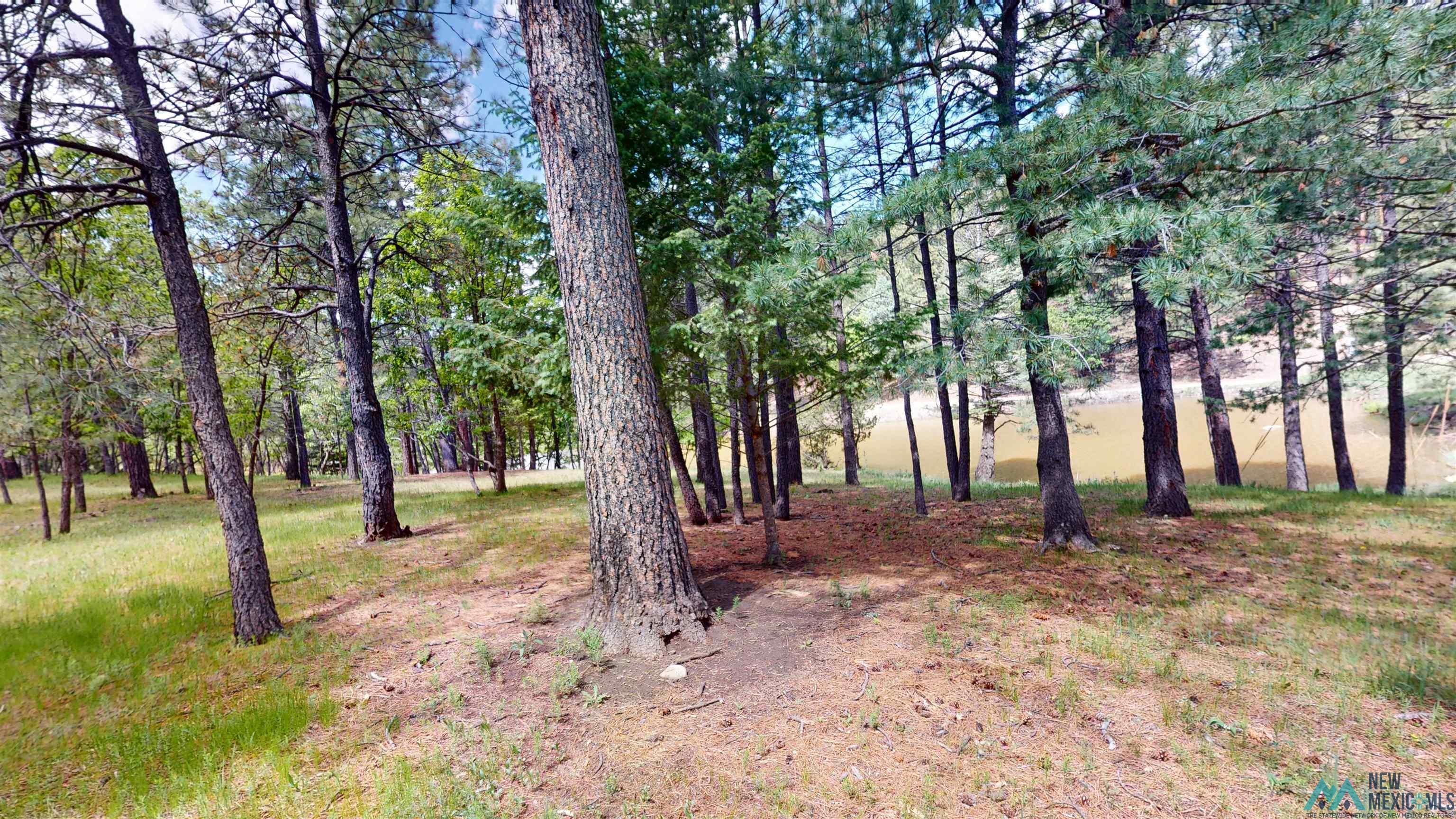 60 W Forest Drive, Rociada, Texas image 40