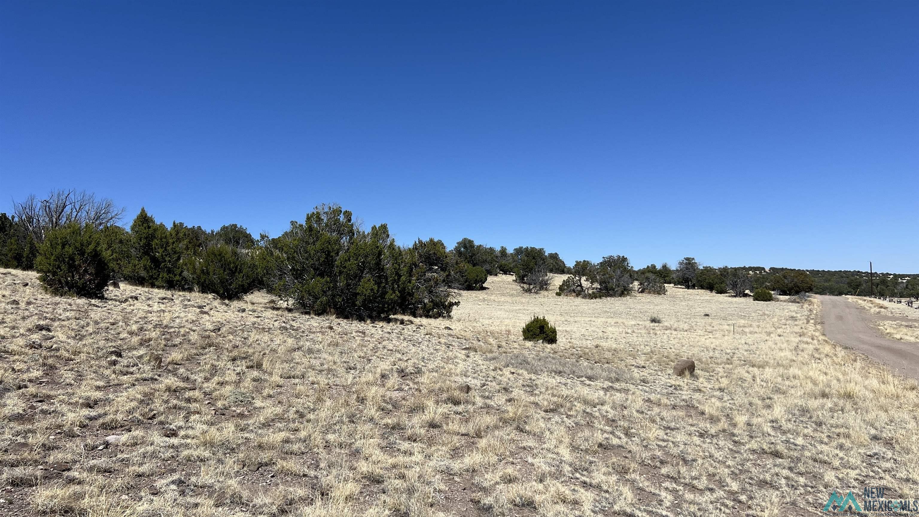 Lot 17 Golden Horseshoe Road, Quemado, Texas image 5