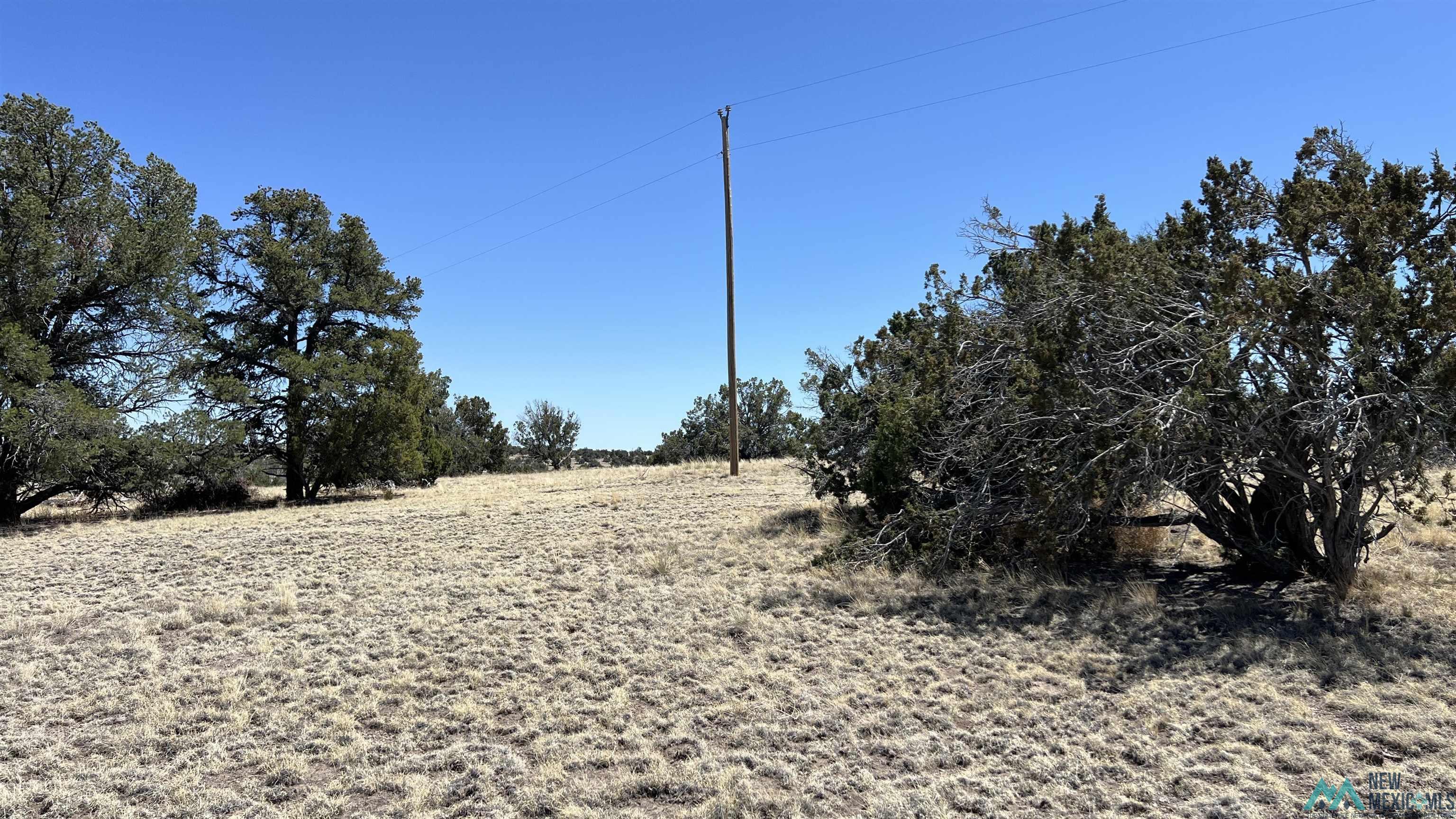 Lot 17 Golden Horseshoe Road, Quemado, Texas image 3