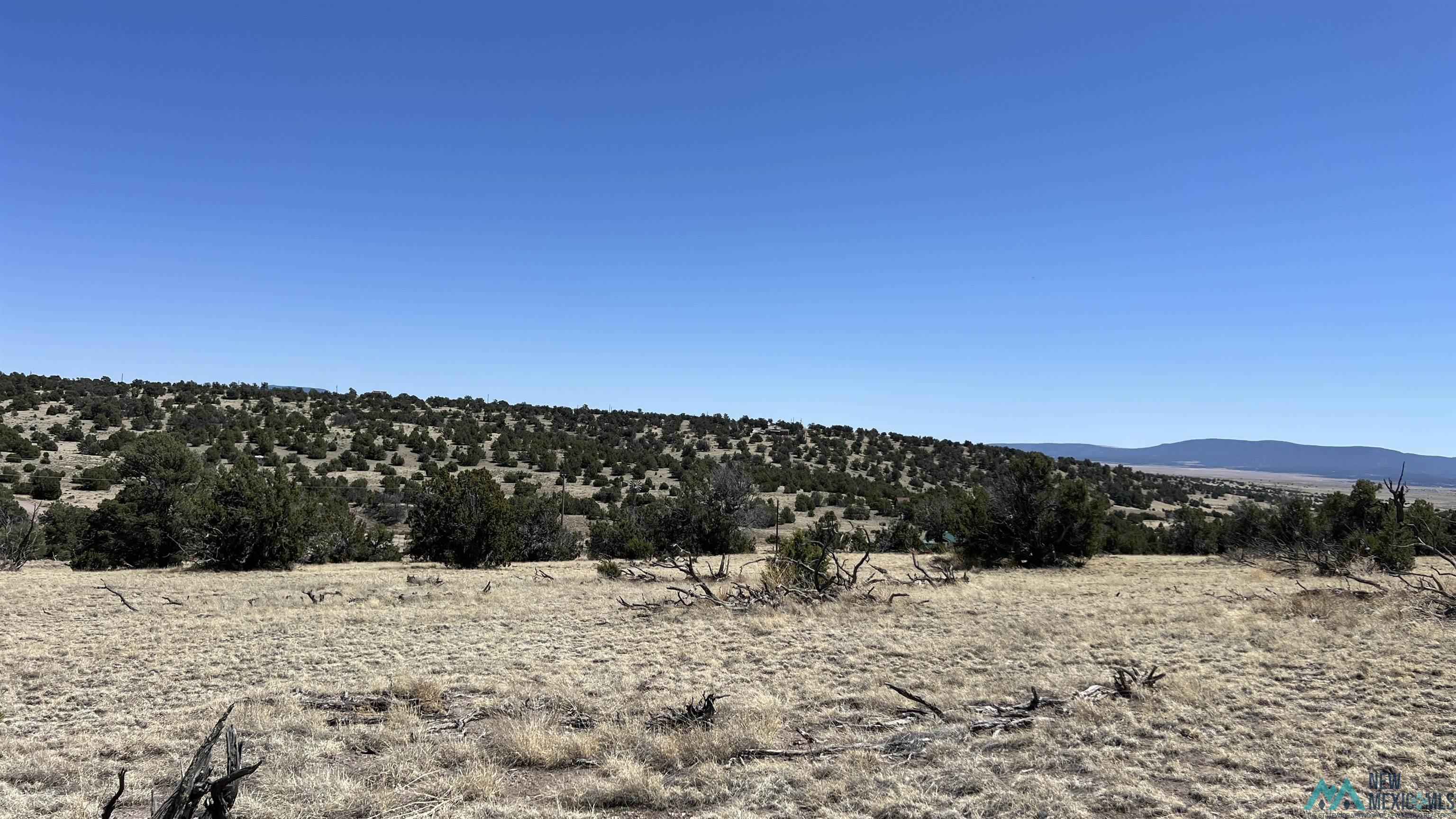 Lot 17 Golden Horseshoe Road, Quemado, Texas image 2