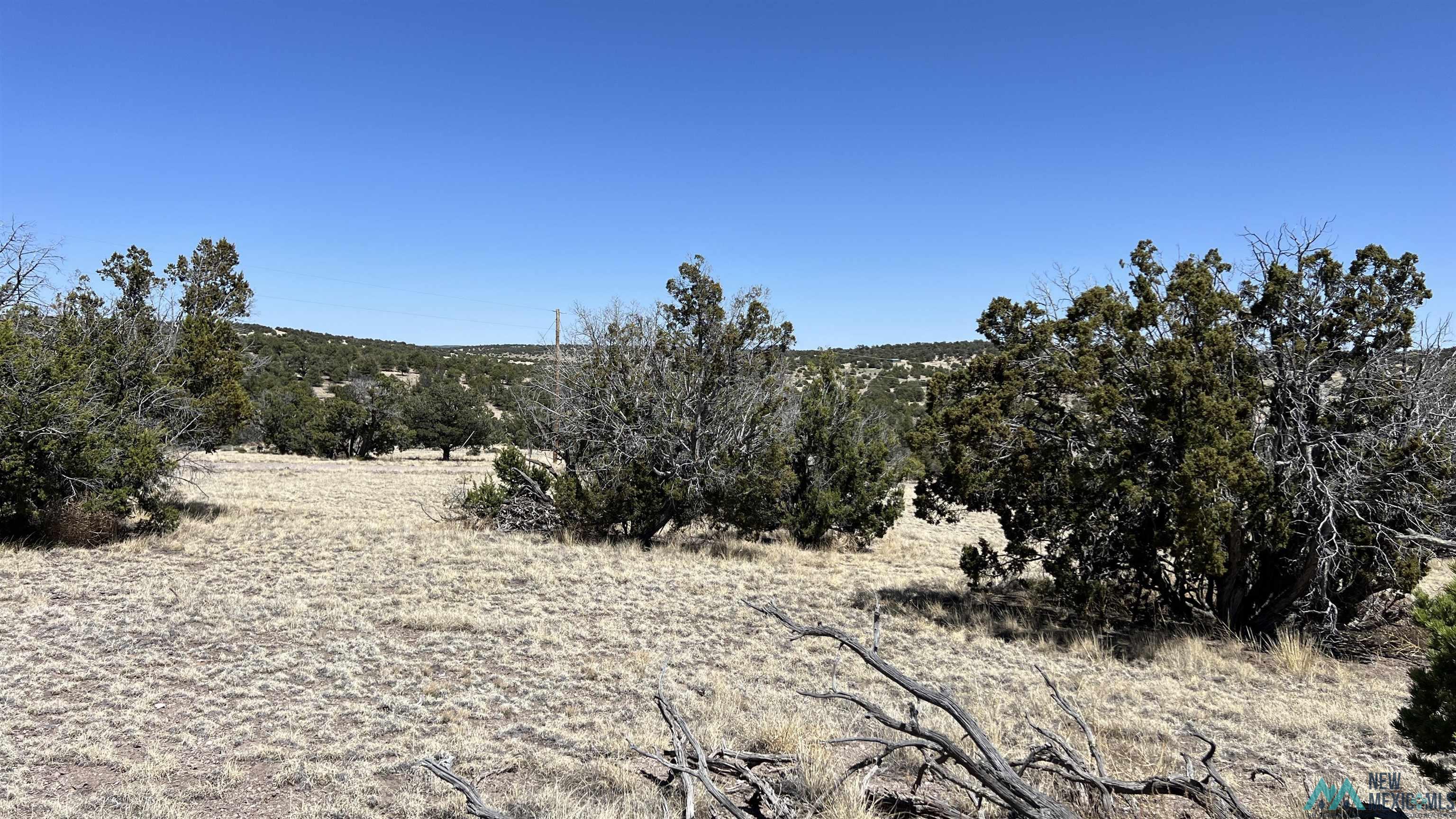 Lot 17 Golden Horseshoe Road, Quemado, Texas image 4