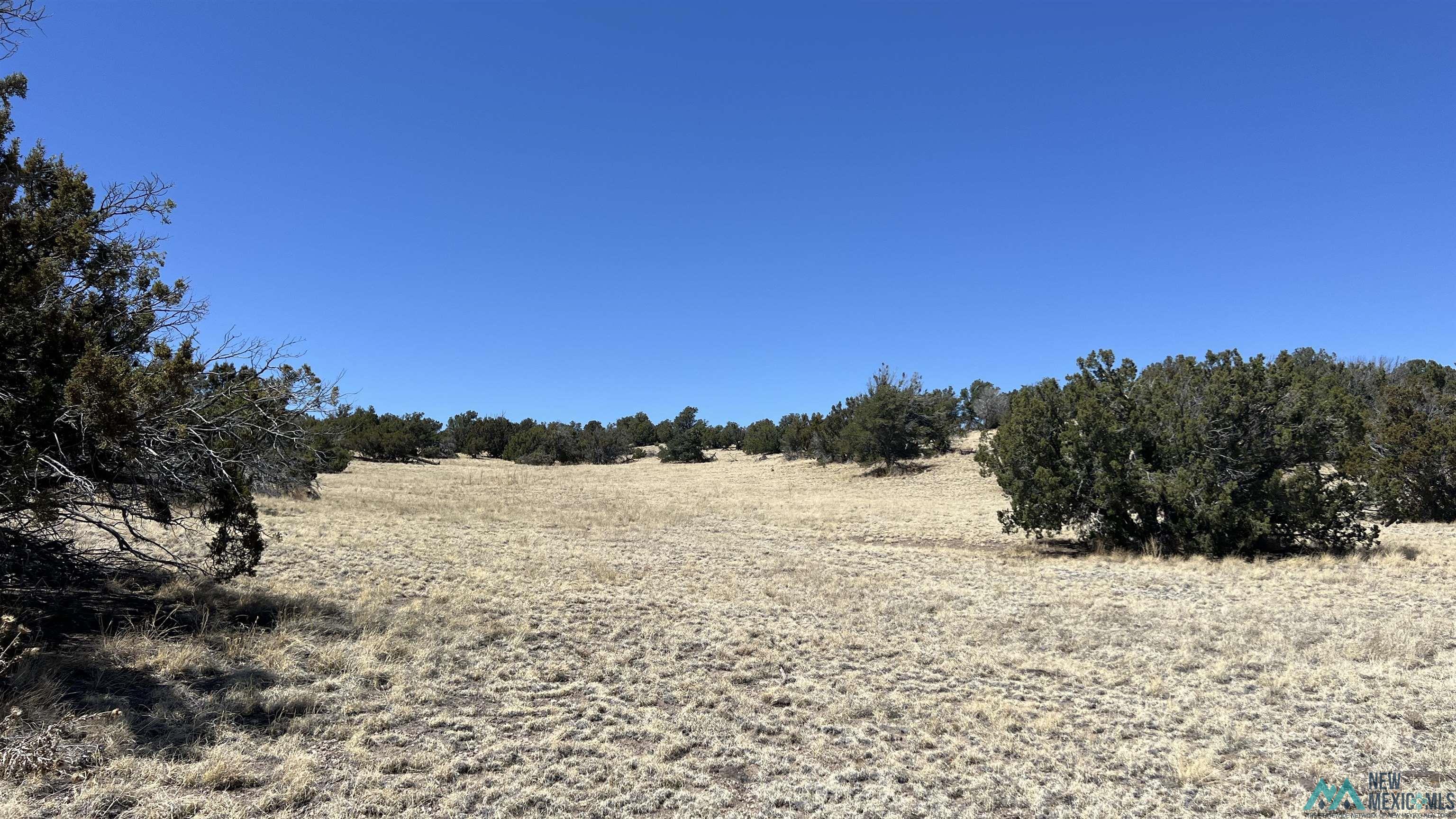Lot 17 Golden Horseshoe Road, Quemado, Texas image 8