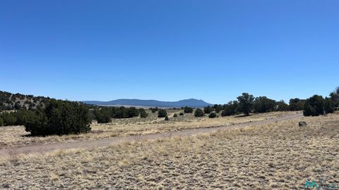Vacant Land For Sale - LOT 17 Golden Horseshoe Road<br/> Quemado, NM 87829