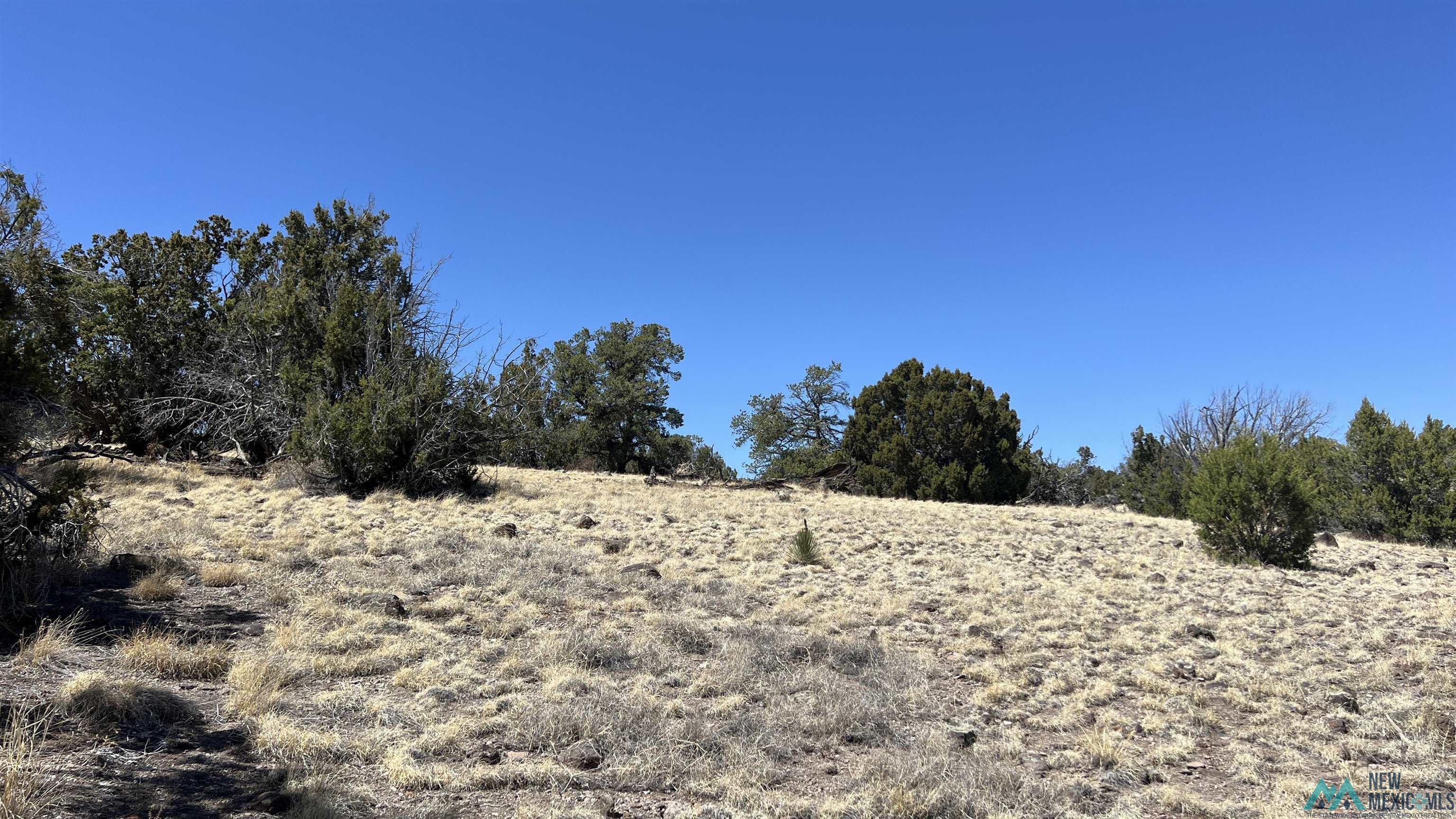 Lot 17 Golden Horseshoe Road, Quemado, Texas image 6