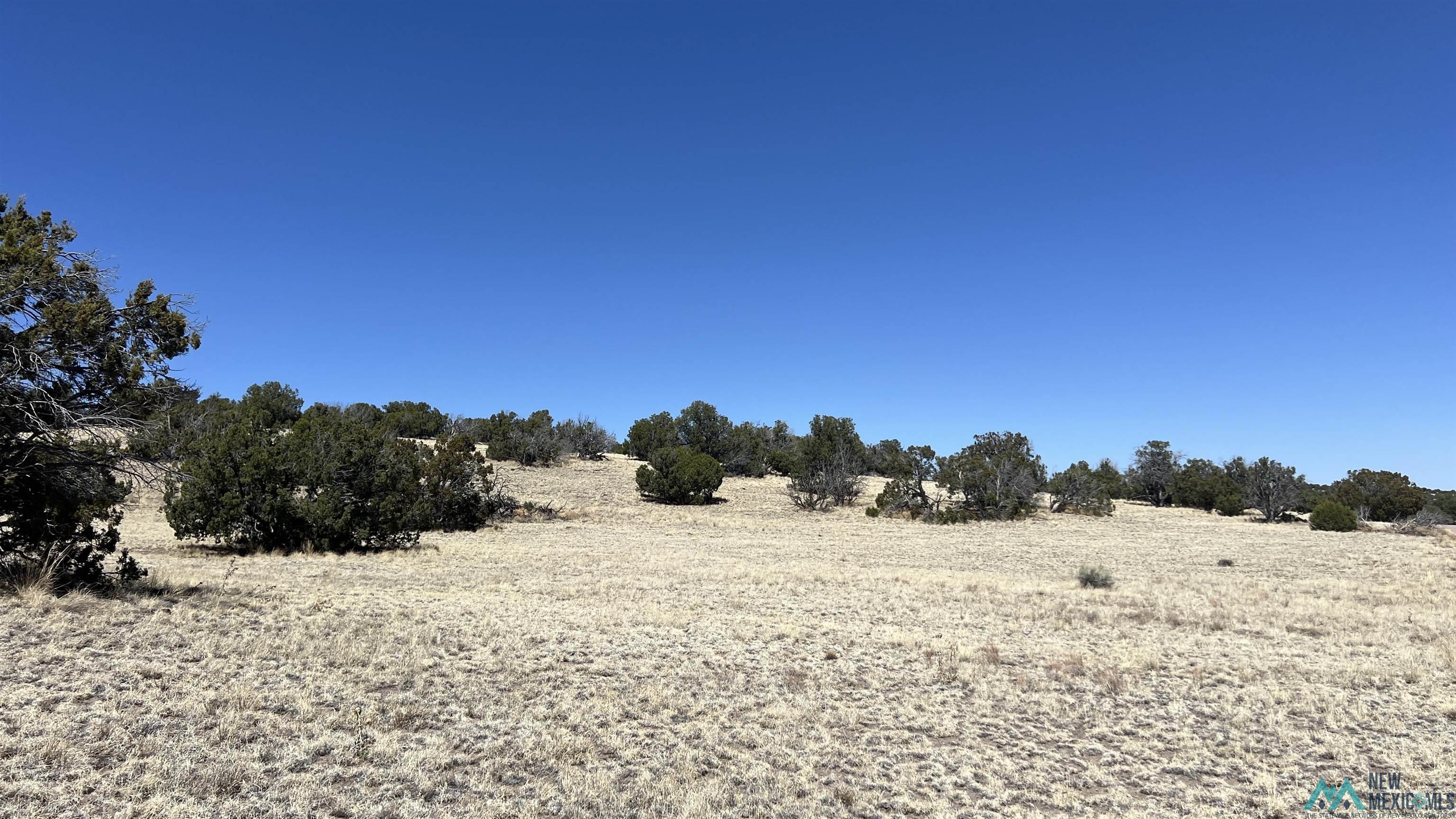 Lot 17 Golden Horseshoe Road, Quemado, Texas image 7