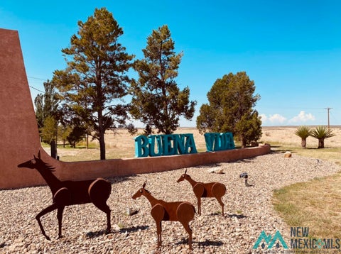 Vacant Land For Sale - 00 Las Flores Drive<br/> Roswell, NM 88203