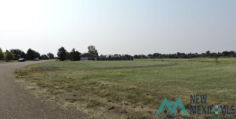 Vacant Land For Sale - 26 Jenkins Drive<br/> Union County, Clayton, NM 88415