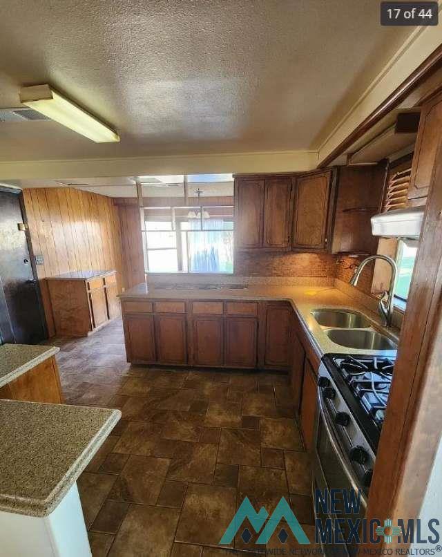 115 S La Huerta Circle, Carlsbad, Texas image 19
