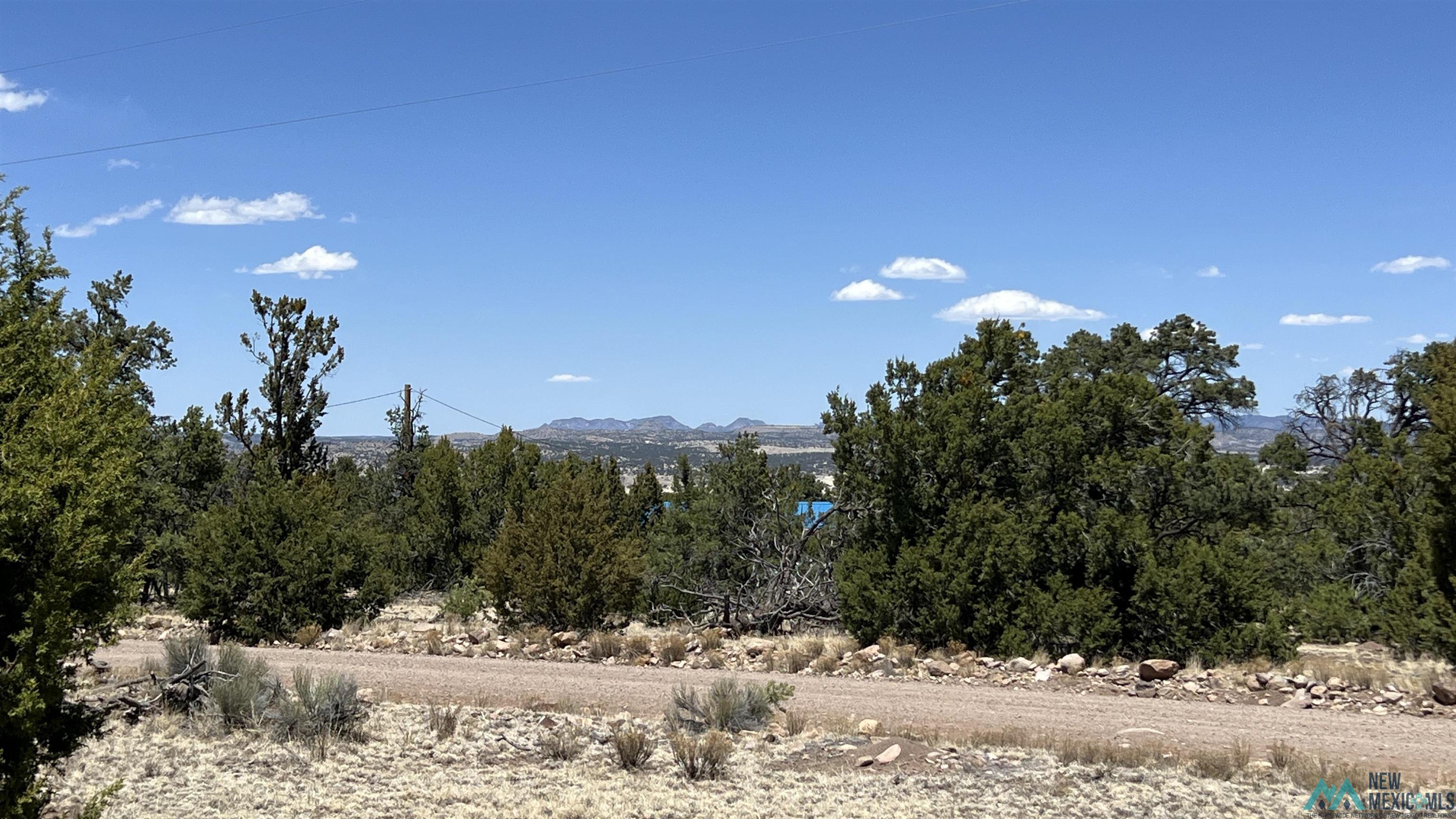 Lot 66 Wagon Road, Datil, Texas image 7