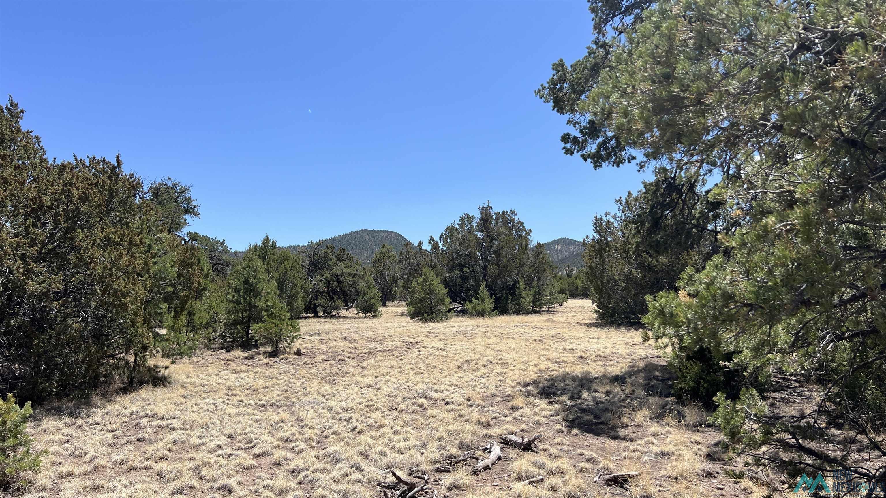 Lot 66 Wagon Road, Datil, Texas image 4