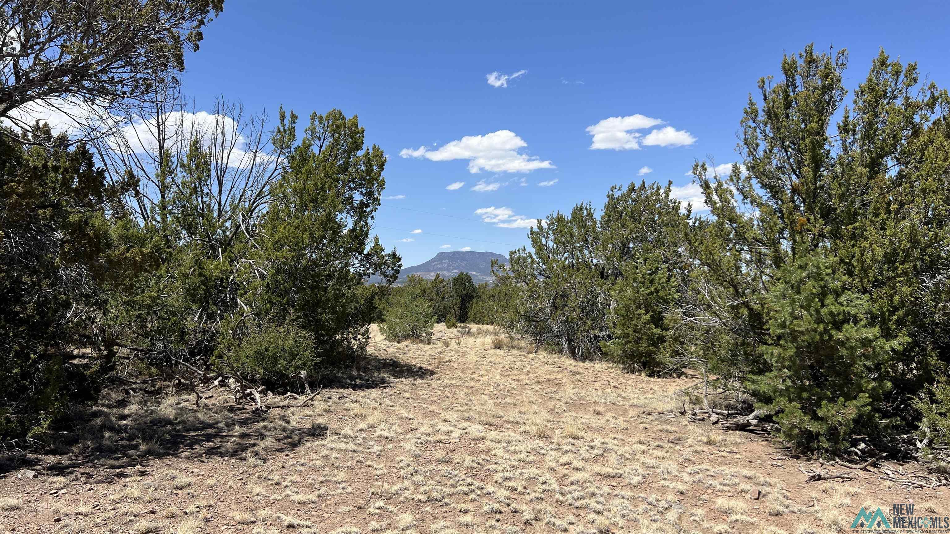 Lot 66 Wagon Road, Datil, Texas image 11