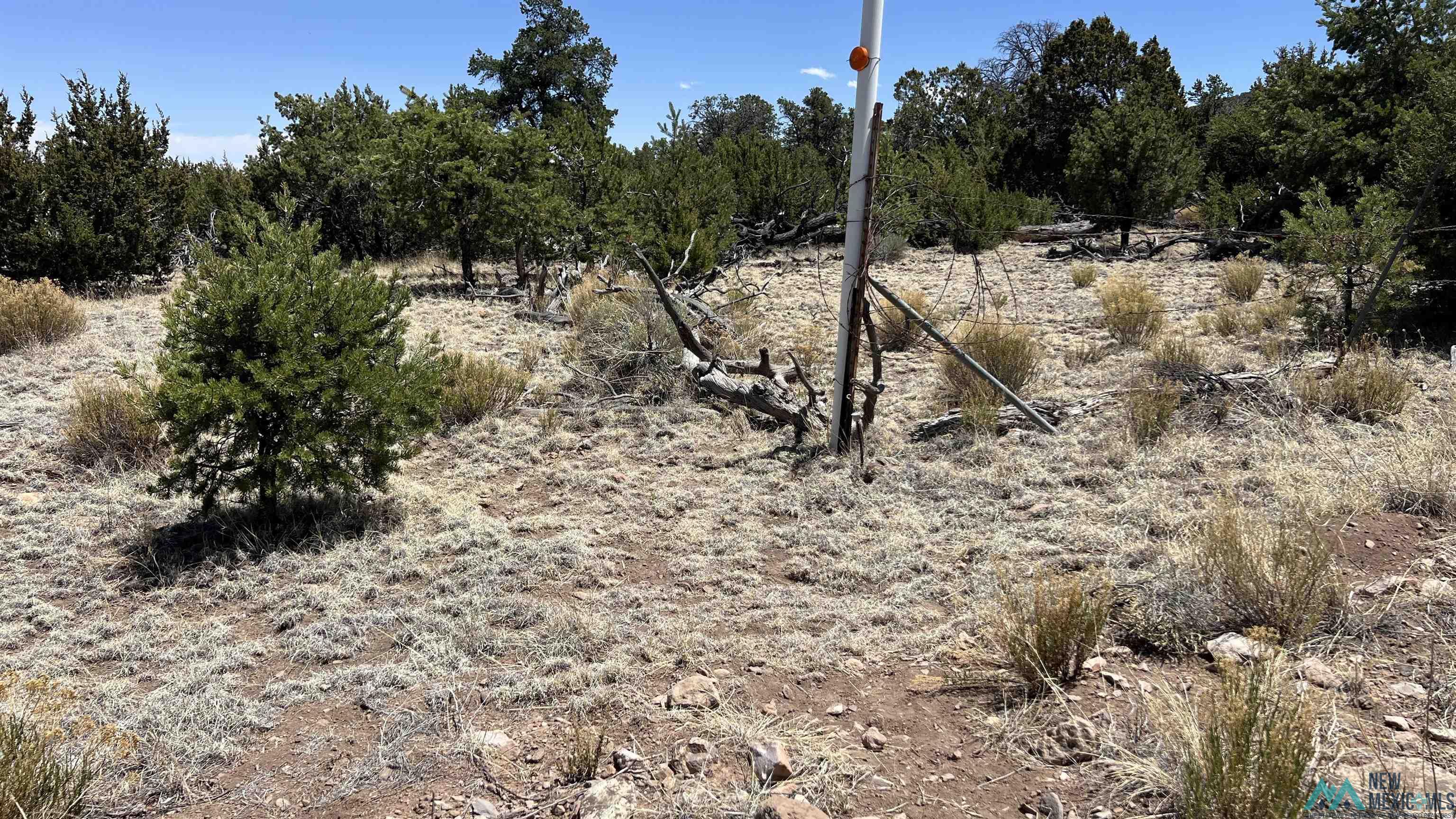 Lot 66 Wagon Road, Datil, Texas image 14