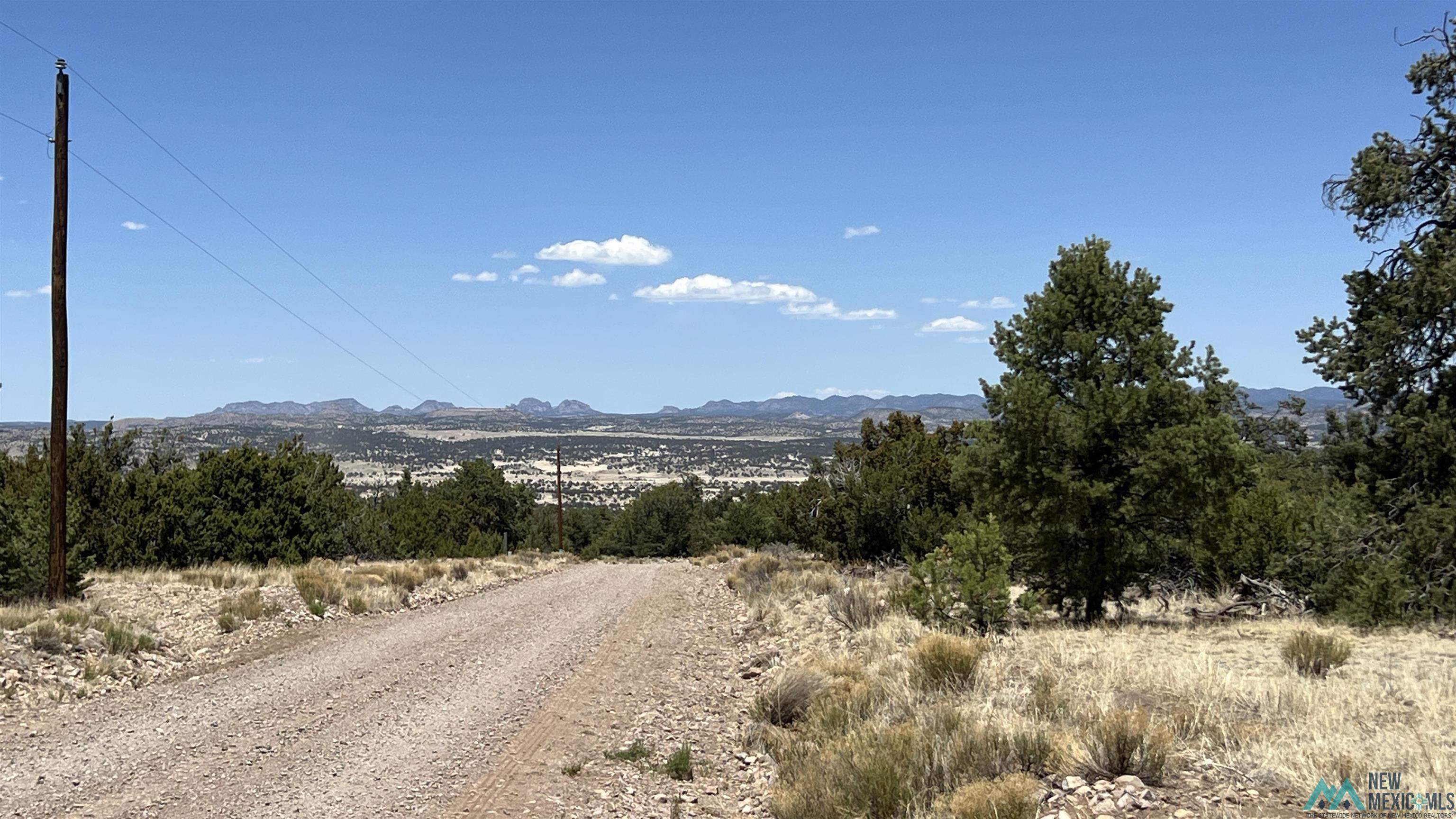 Lot 66 Wagon Road, Datil, Texas image 13