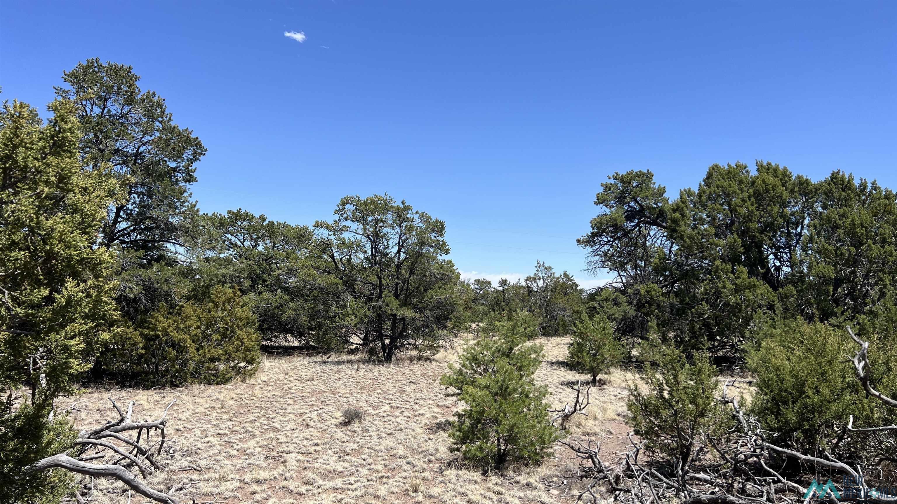 Lot 66 Wagon Road, Datil, Texas image 2