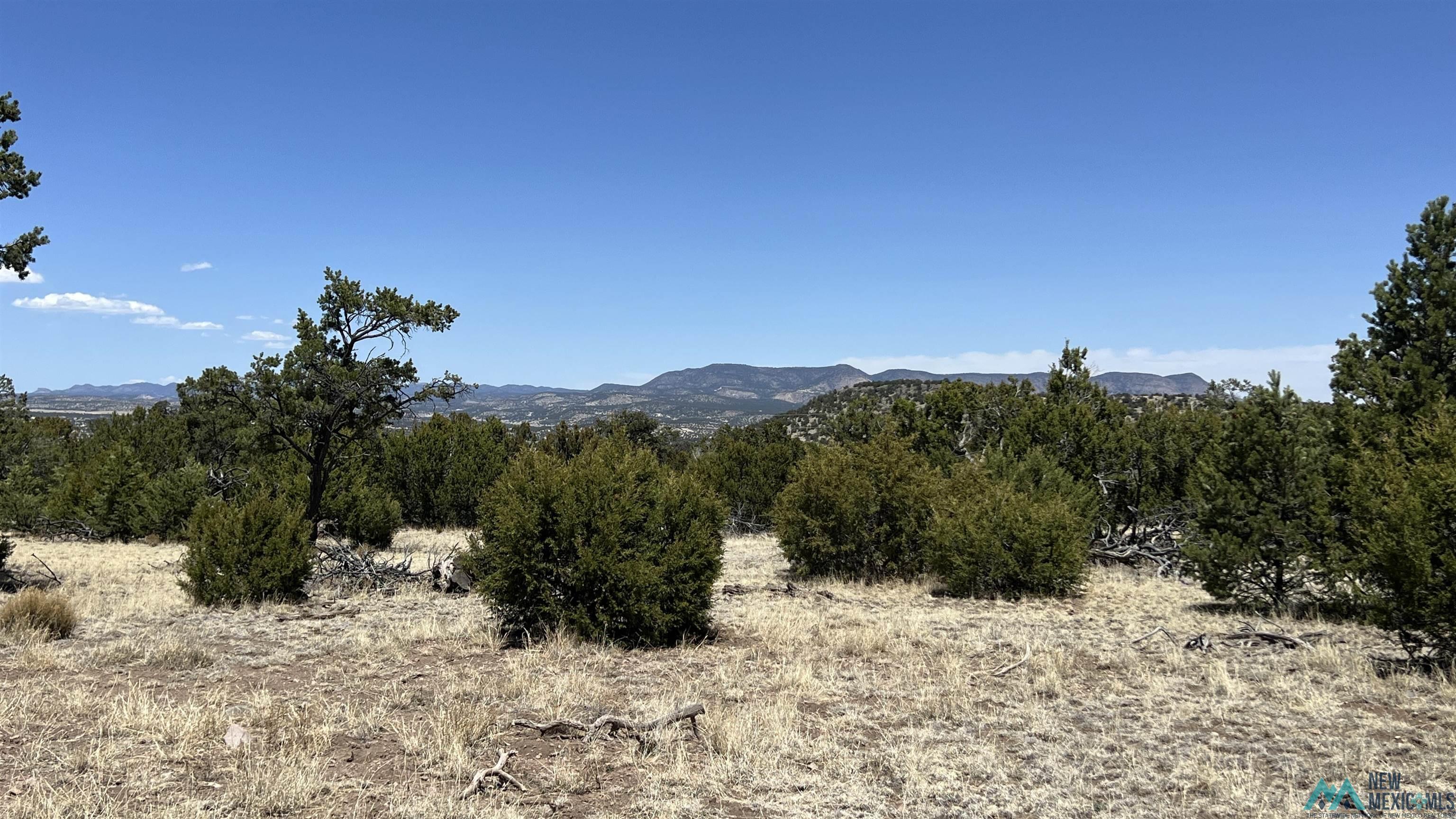 Lot 66 Wagon Road, Datil, Texas image 1