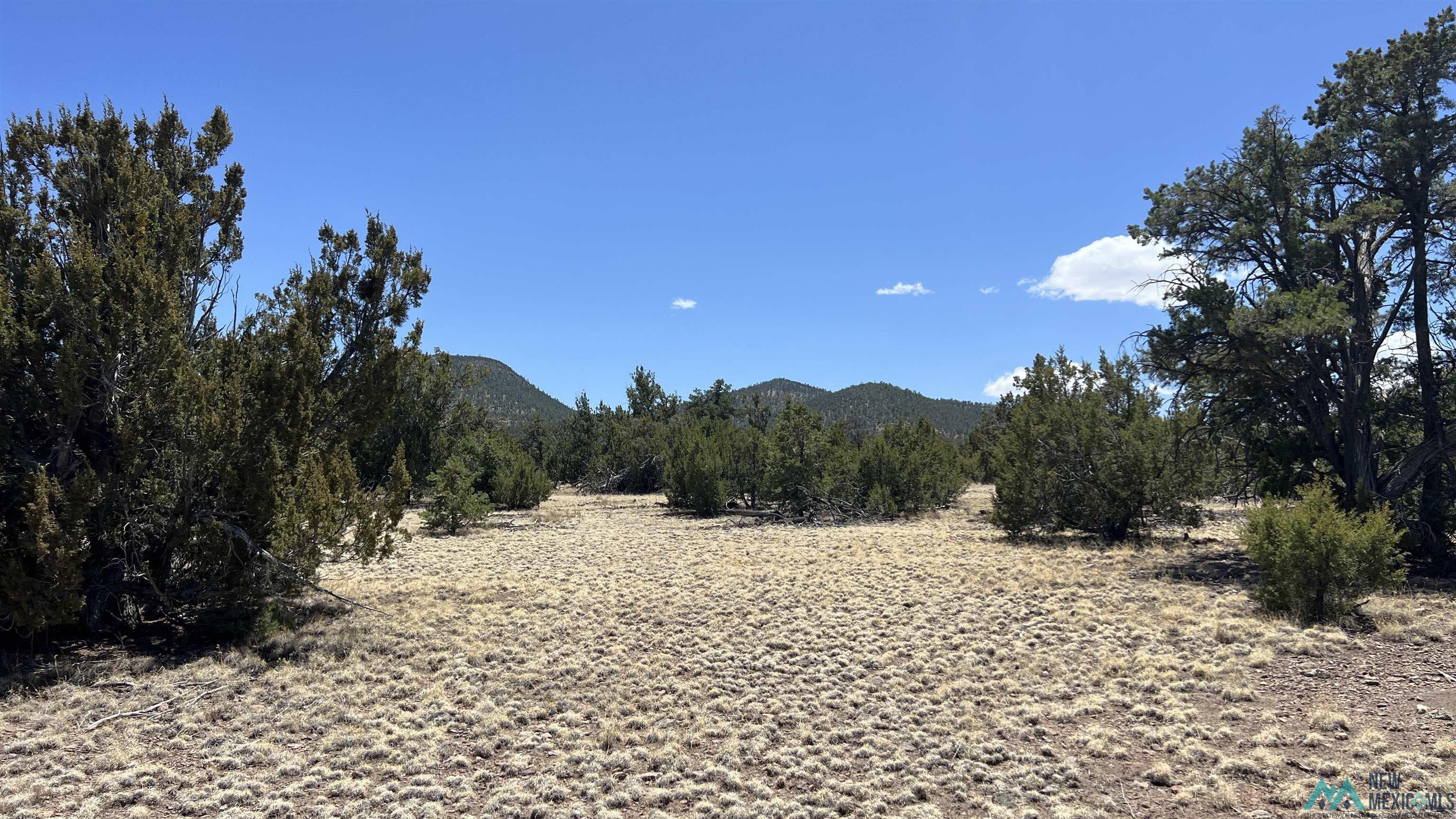 Lot 66 Wagon Road, Datil, Texas image 10
