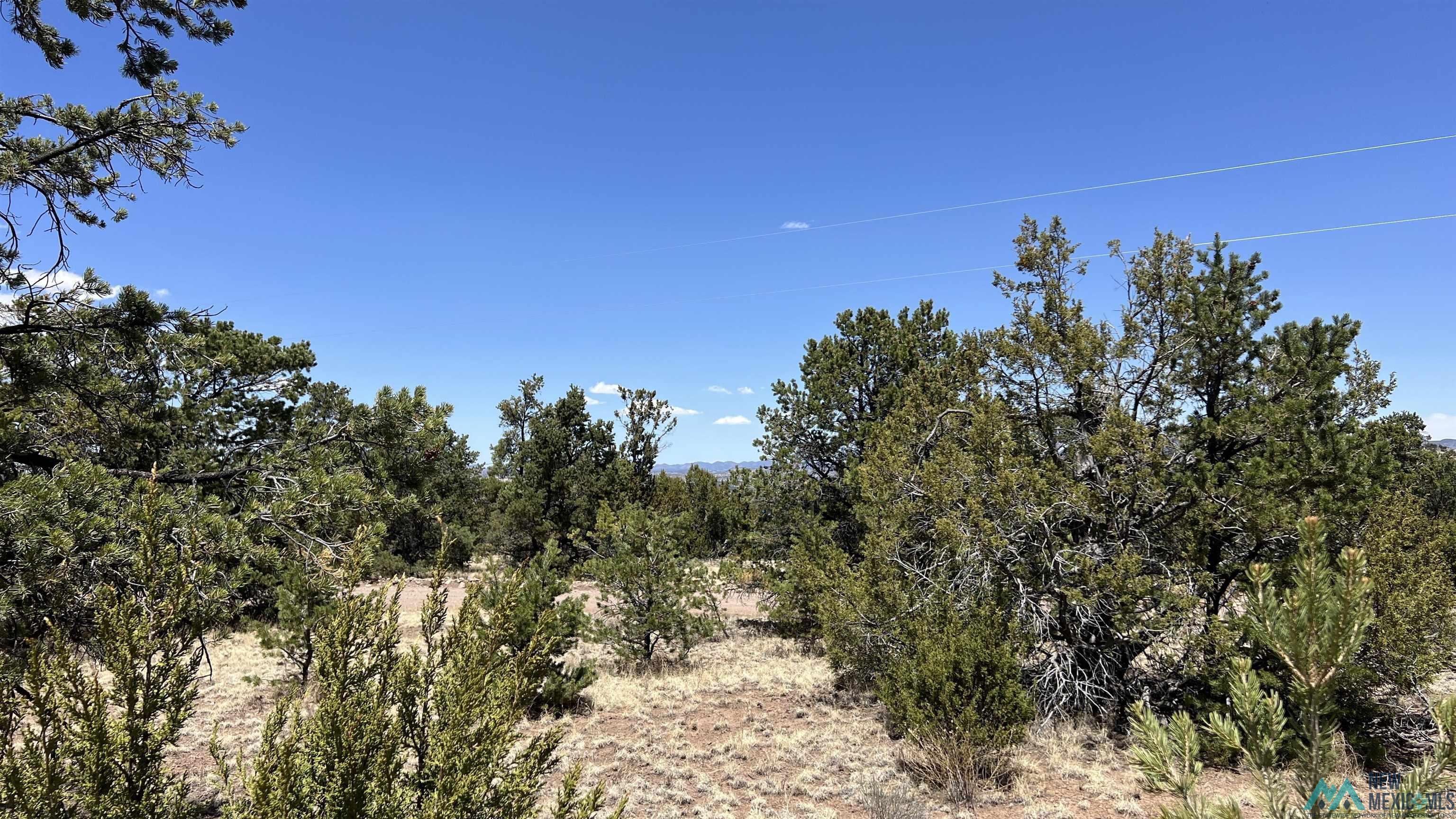 Lot 66 Wagon Road, Datil, Texas image 5