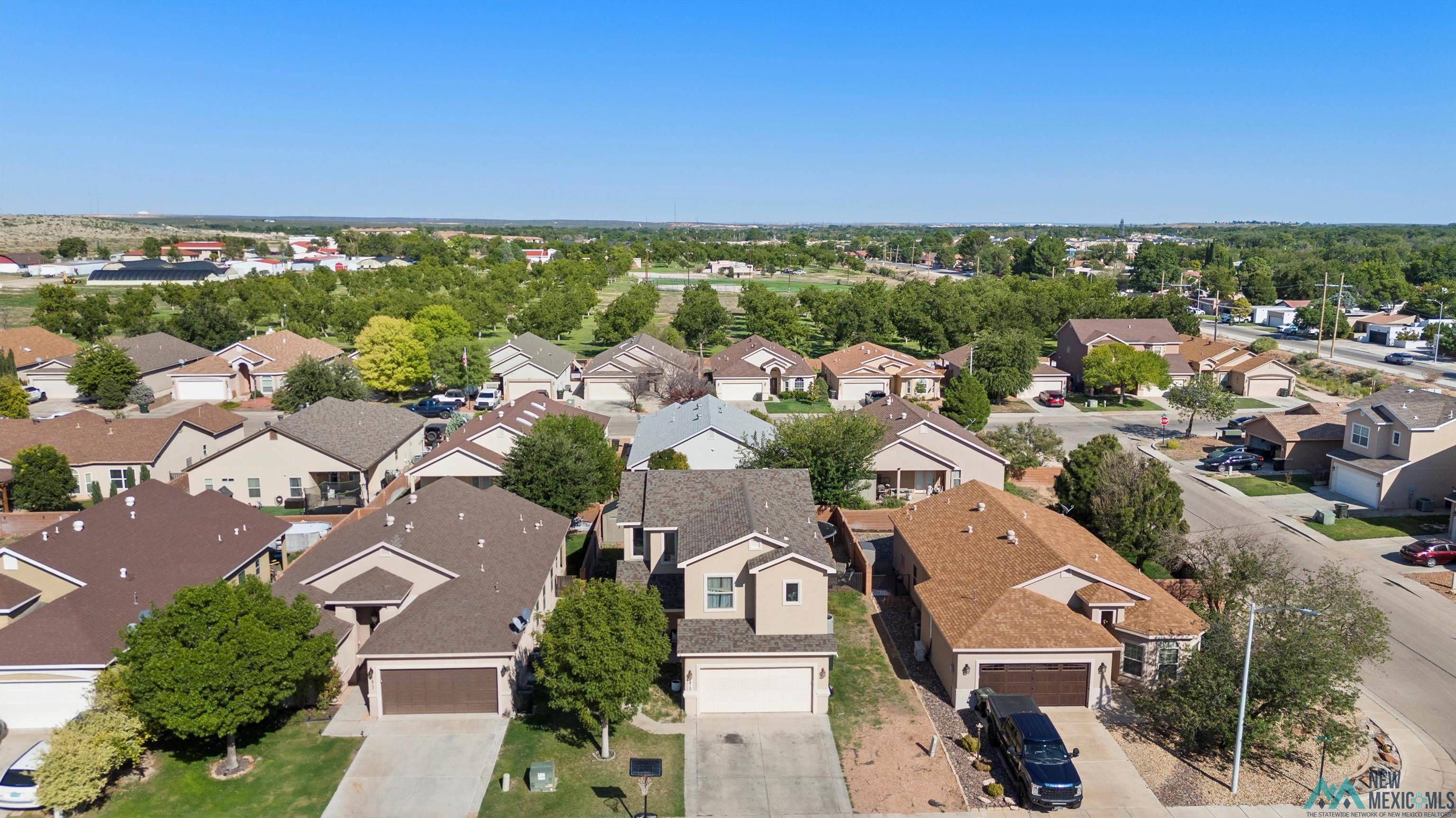 1810 Amber Drive, Carlsbad, Texas image 3