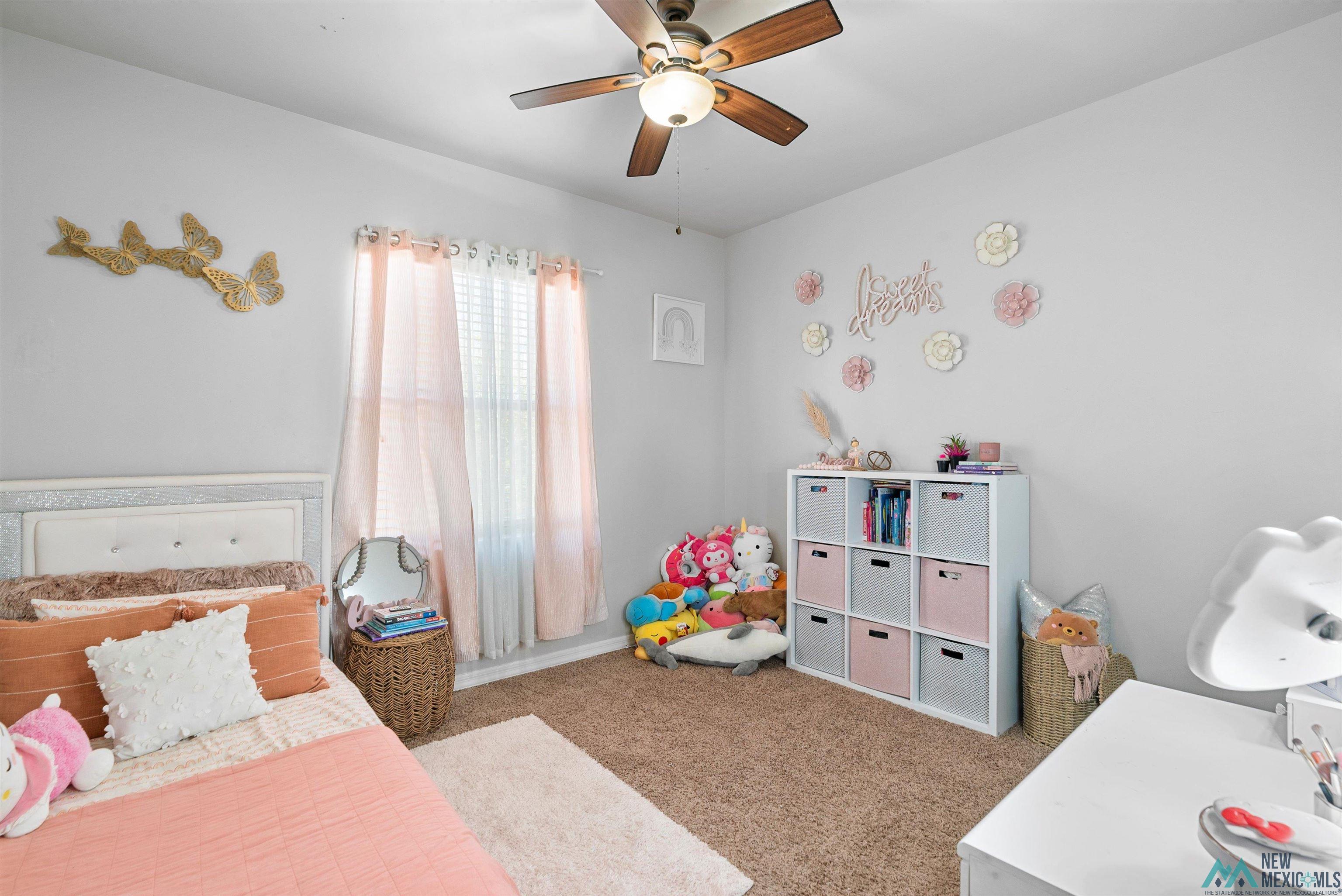 1810 Amber Drive, Carlsbad, Texas image 33