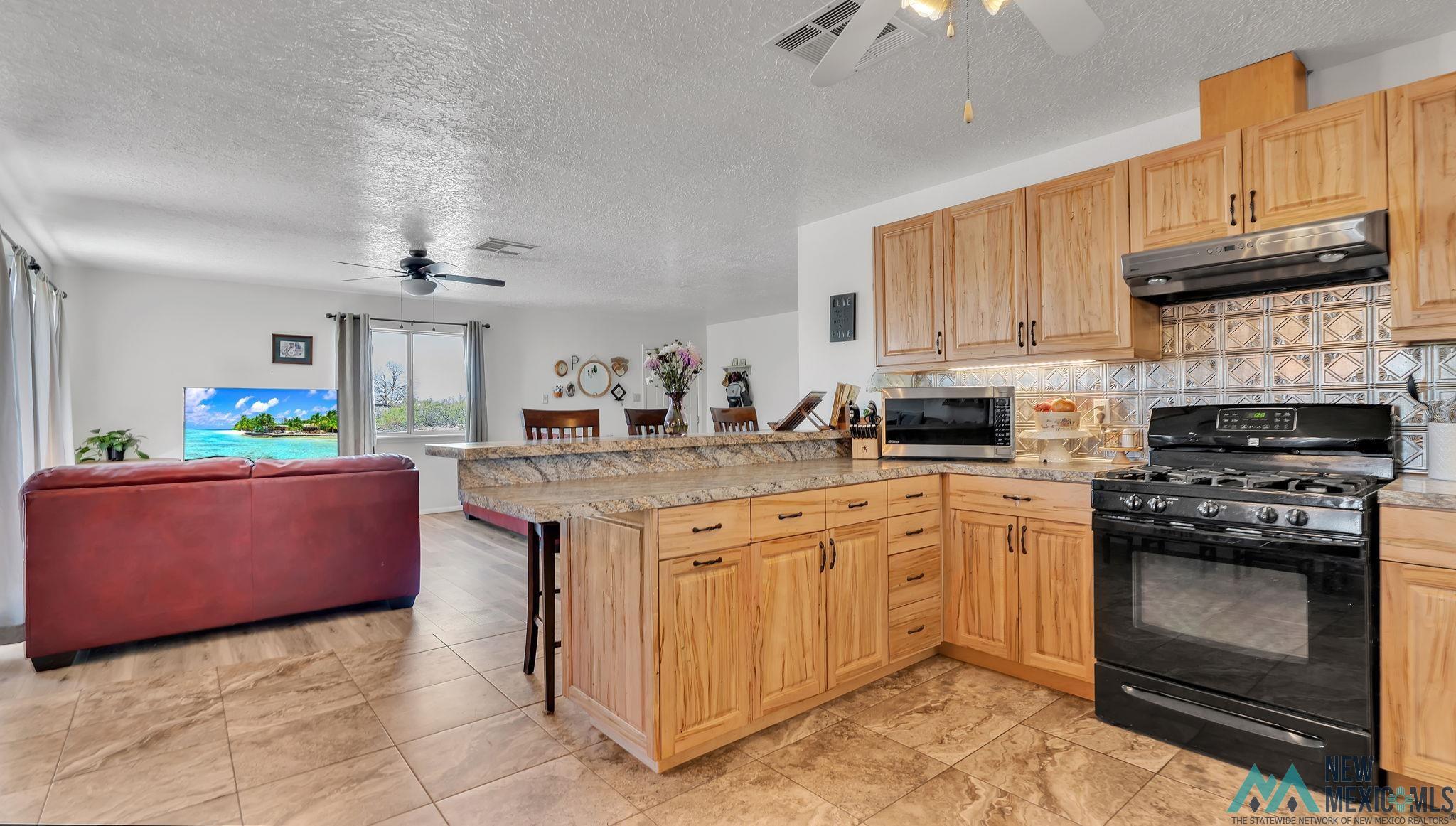 300 San Andres Drive, Elephant Butte, Texas image 17