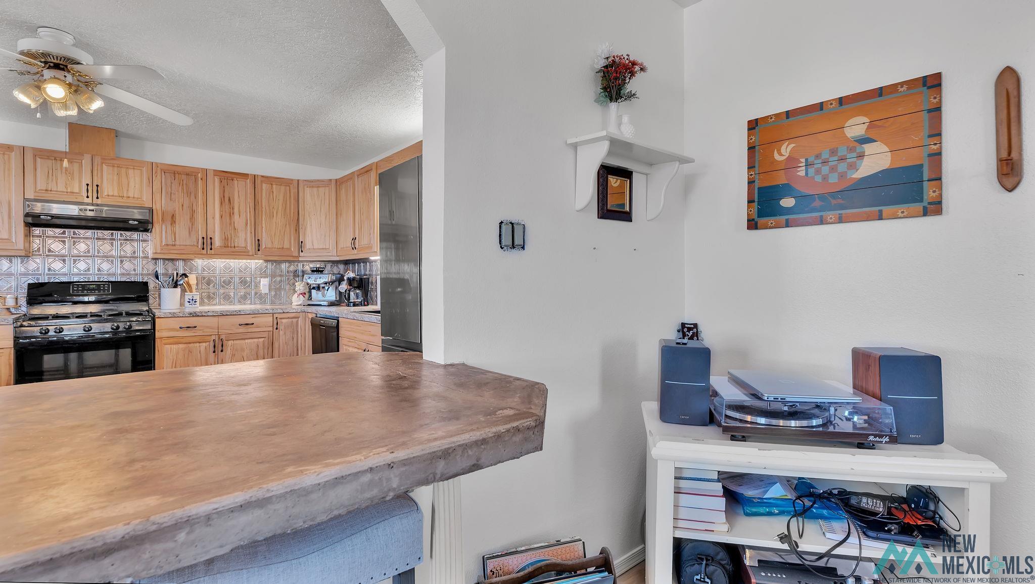 300 San Andres Drive, Elephant Butte, Texas image 24