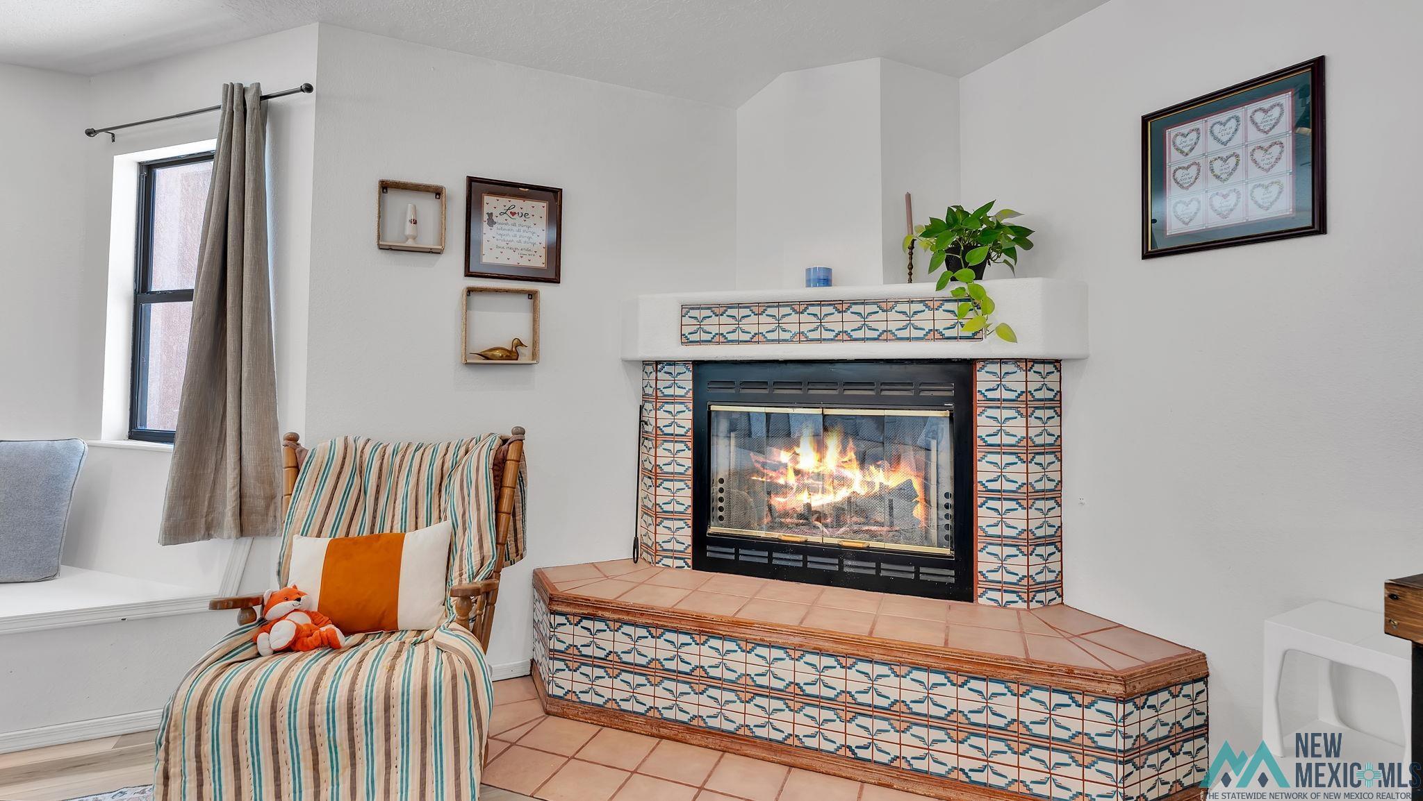 300 San Andres Drive, Elephant Butte, Texas image 31