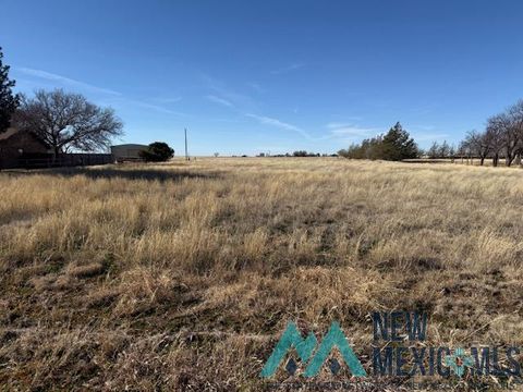 Vacant Land For Sale - 8524 La Linda Street<br/> Curry County, Clovis, NM 88101
