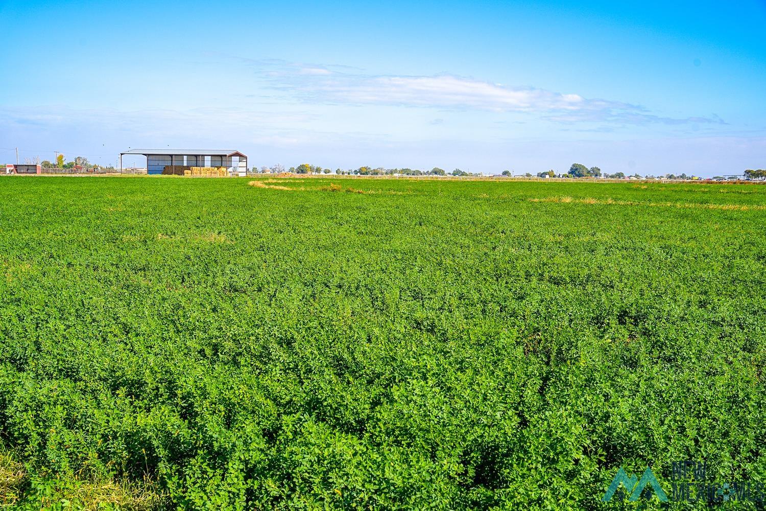 2406 W Pinson Rd, Hobbs, Texas image 20