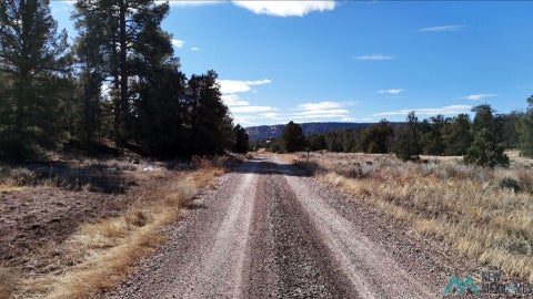 Vacant Land For Sale - 8 E Lobo Road<br/> Ramah, NM 87321