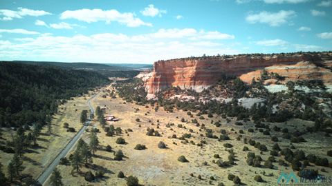 Vacant Land For Sale - 8 E Lobo Road<br/> Mckinley County, Ramah, NM 87321