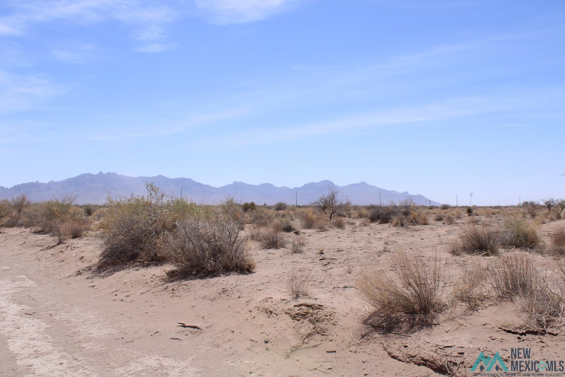 Yucca Rd Sw, Deming, New Mexico image 1