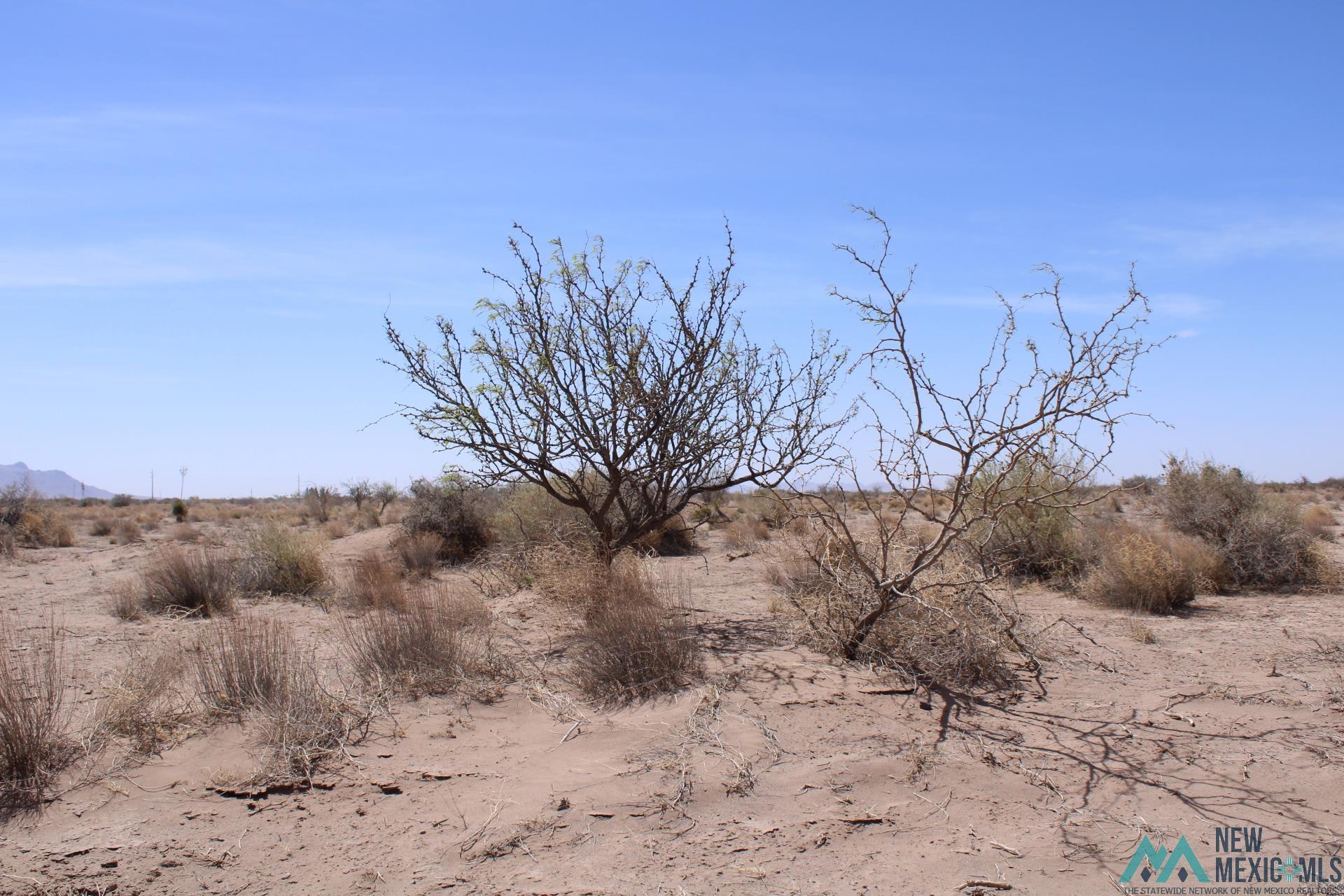 Yucca Rd Sw, Deming, New Mexico image 2