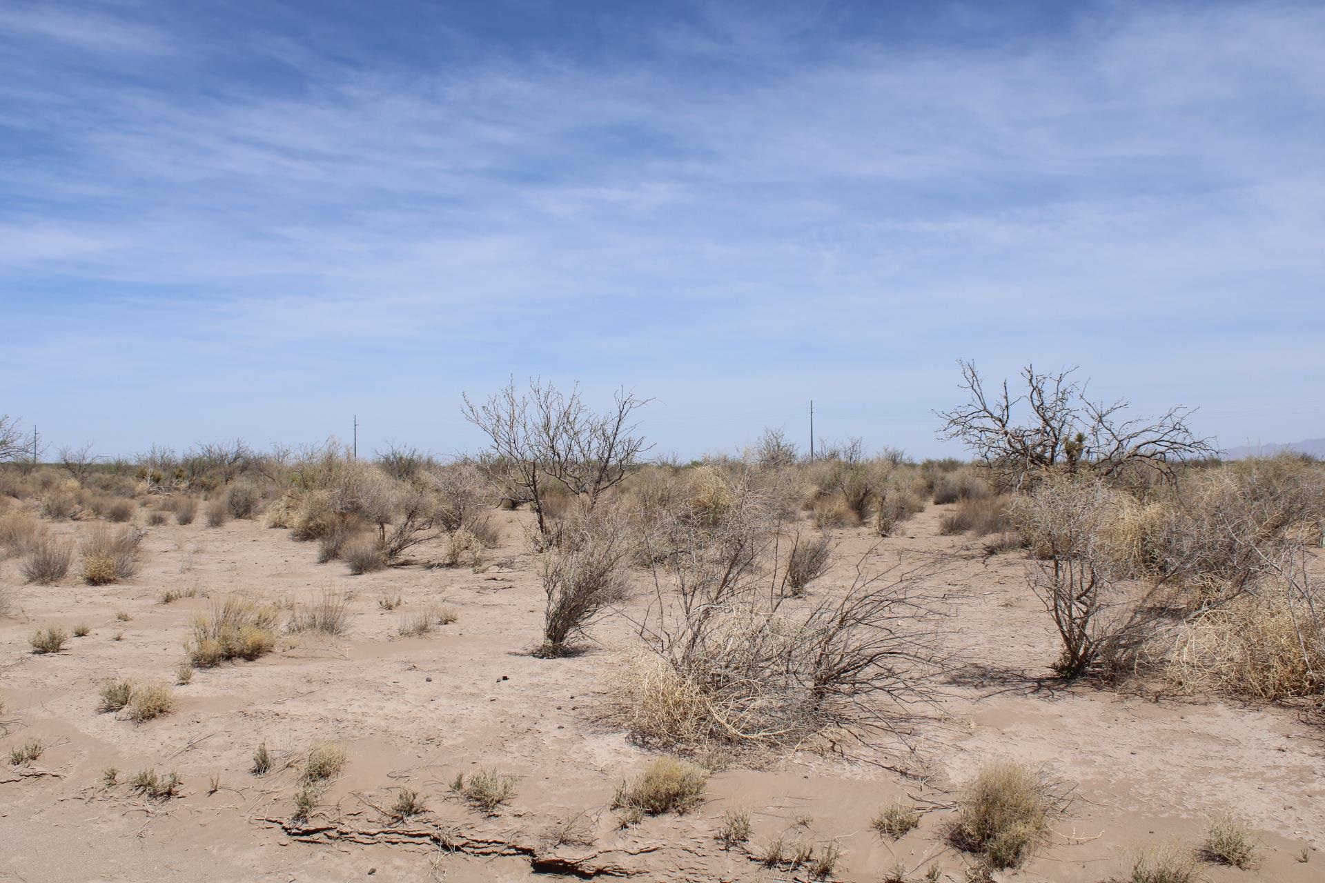 Yucca Rd Sw, Deming, New Mexico image 7