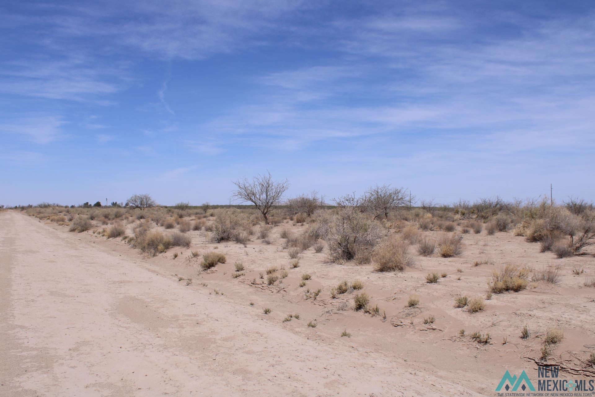 Yucca Rd Sw, Deming, New Mexico image 6