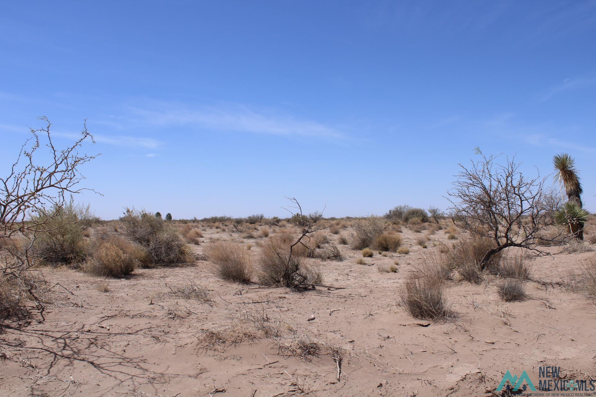 Yucca Rd Sw, Deming, New Mexico image 3