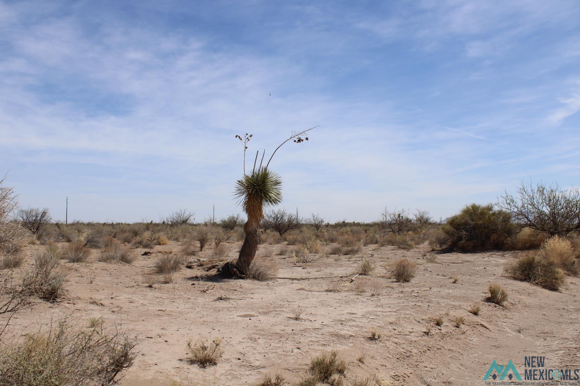 Yucca Rd Sw, Deming, New Mexico image 9