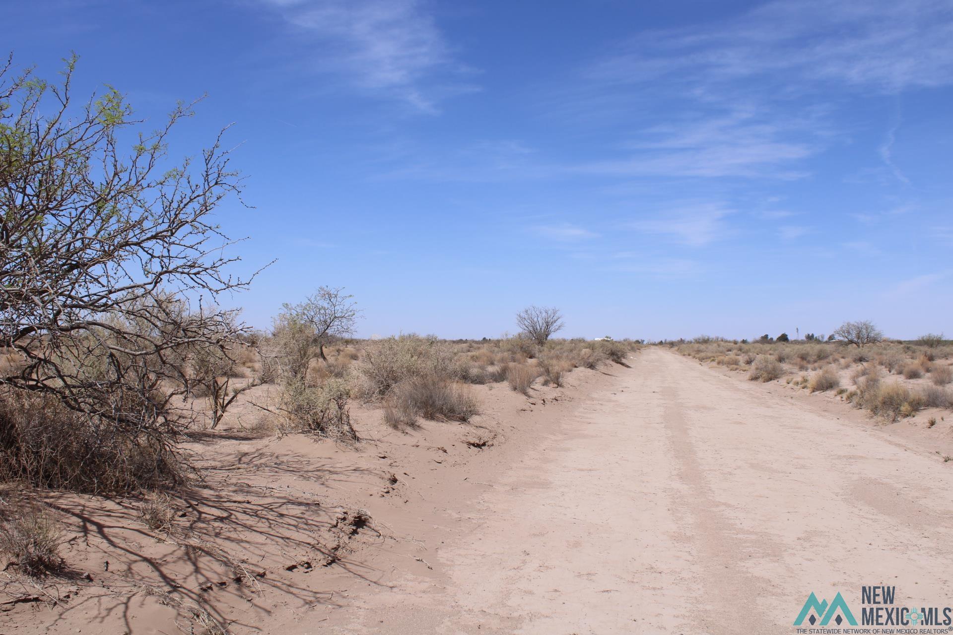 Yucca Rd Sw, Deming, New Mexico image 5