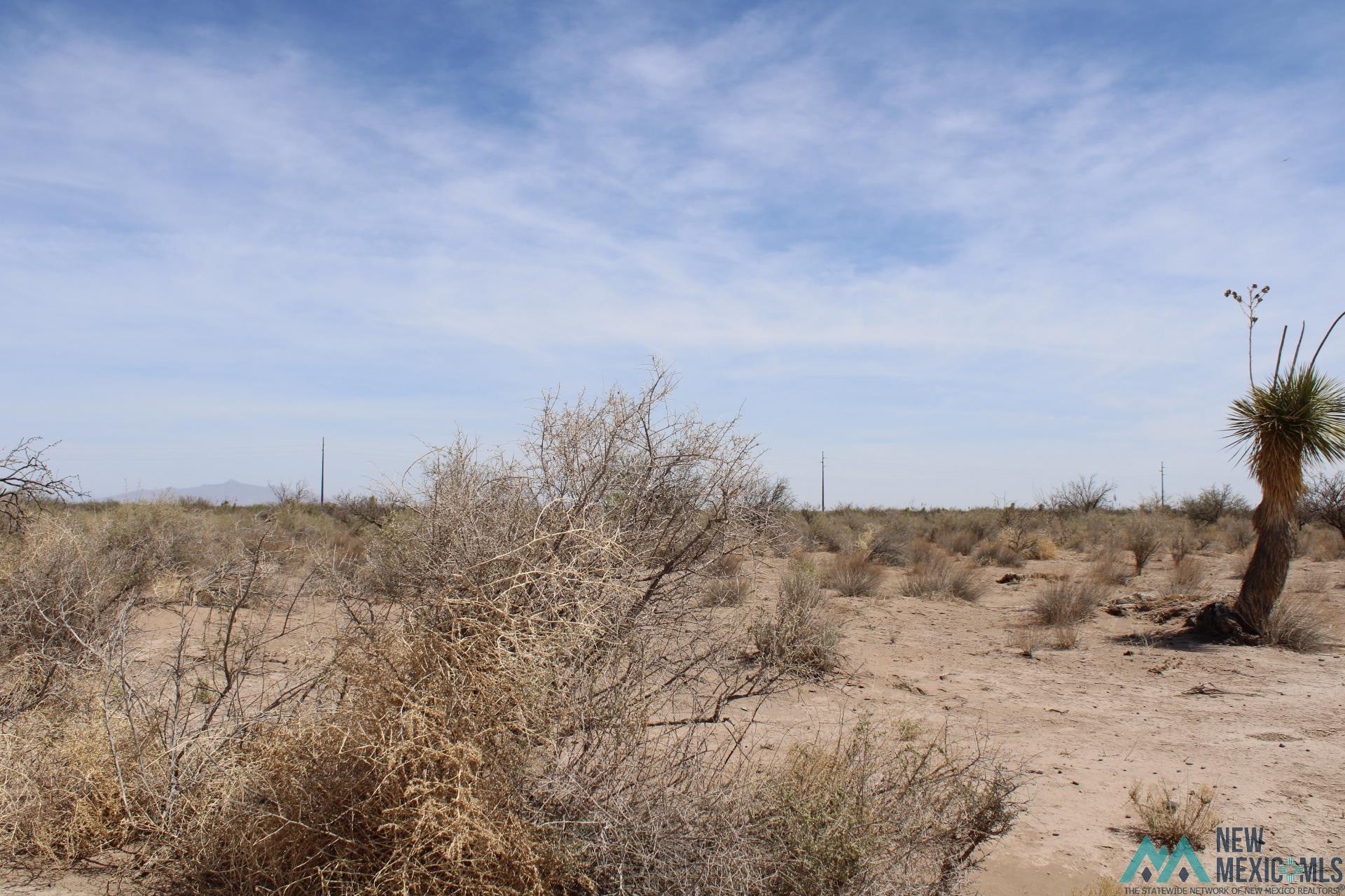 Yucca Rd Sw, Deming, New Mexico image 8