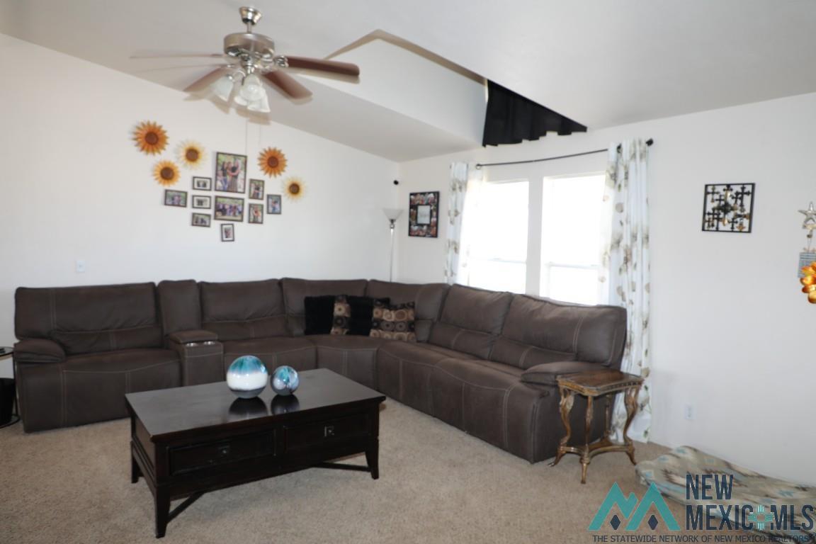 220 Country Drive, Elephant Butte, Texas image 24