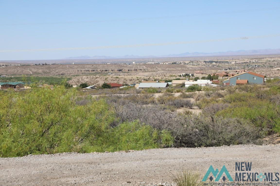 220 Country Drive, Elephant Butte, Texas image 11