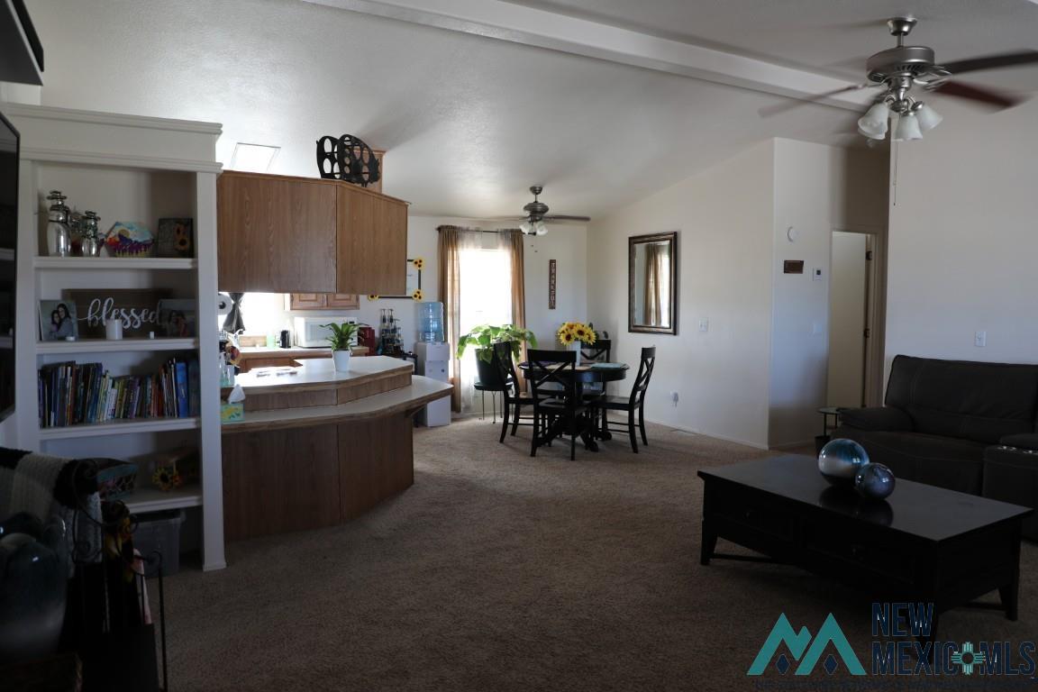 220 Country Drive, Elephant Butte, Texas image 13