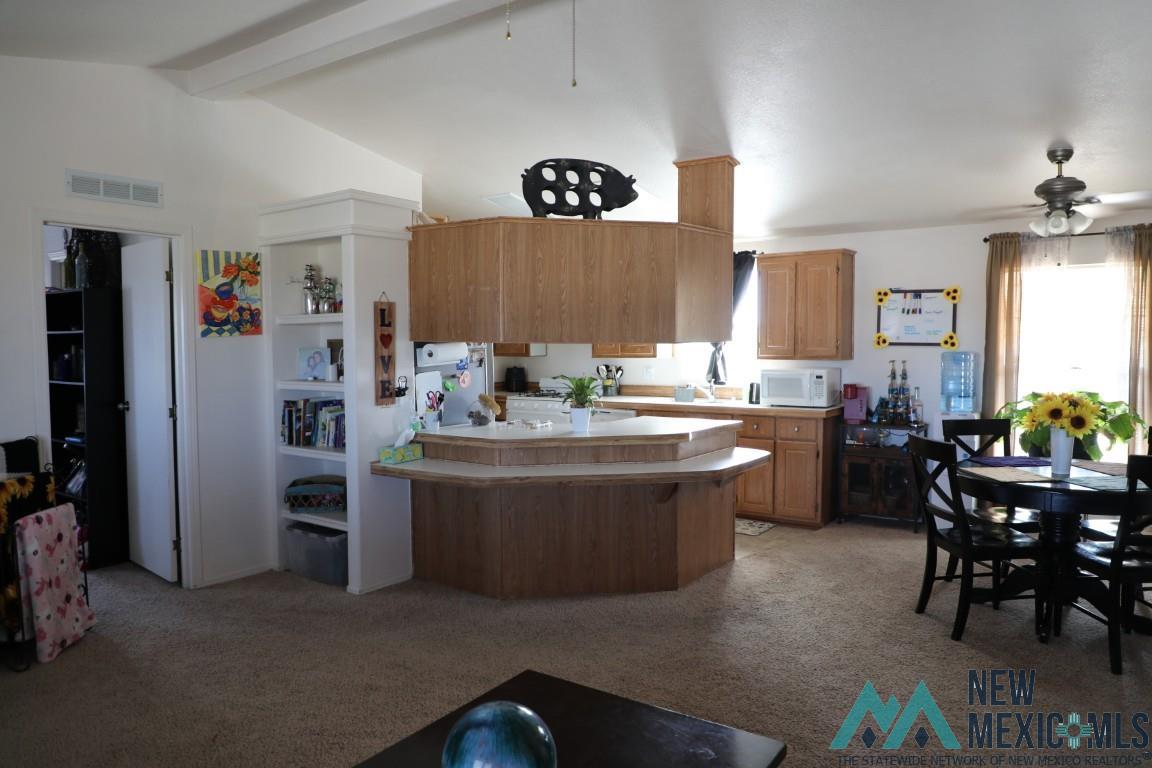 220 Country Drive, Elephant Butte, Texas image 14