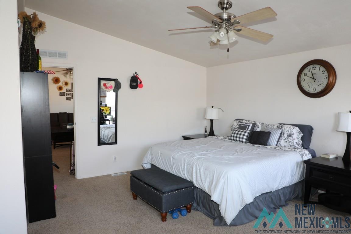 220 Country Drive, Elephant Butte, Texas image 22