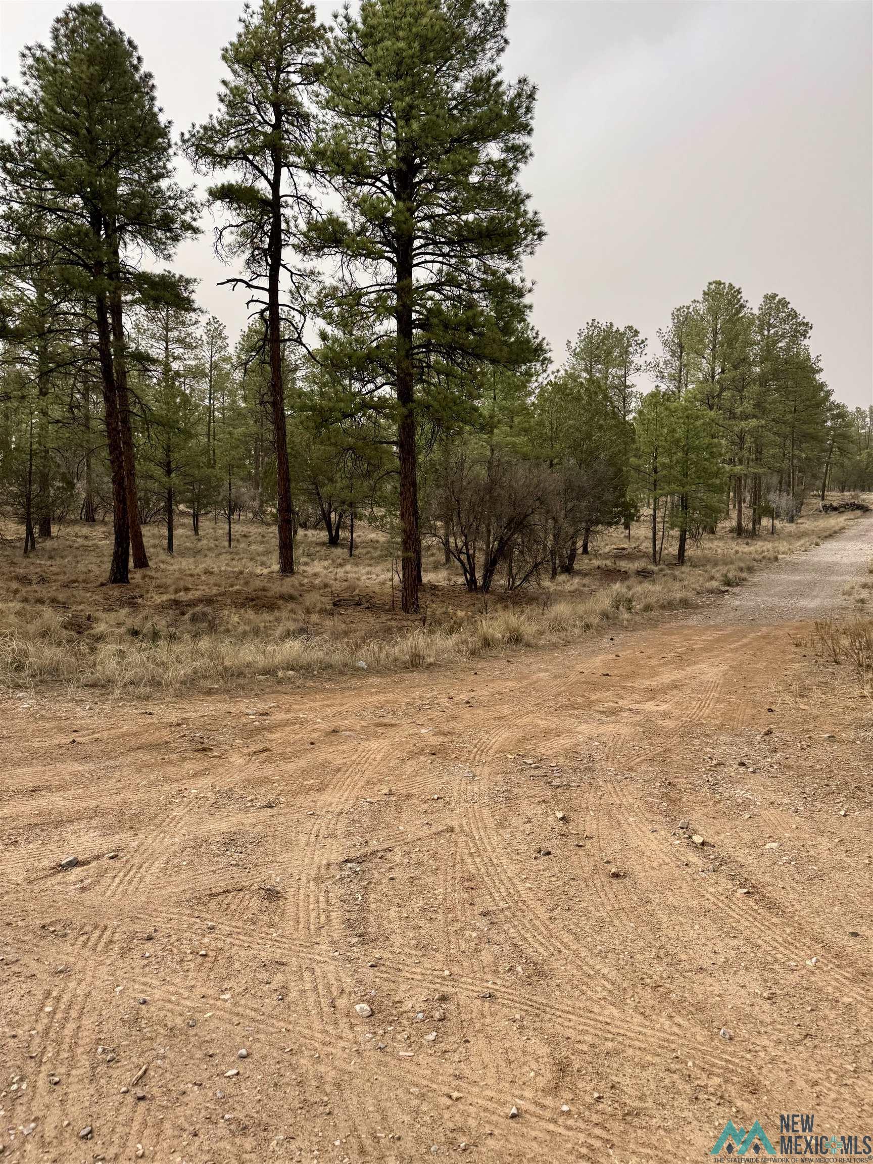 TBD Timber Lot16 Drive, Timberon, Texas image 4