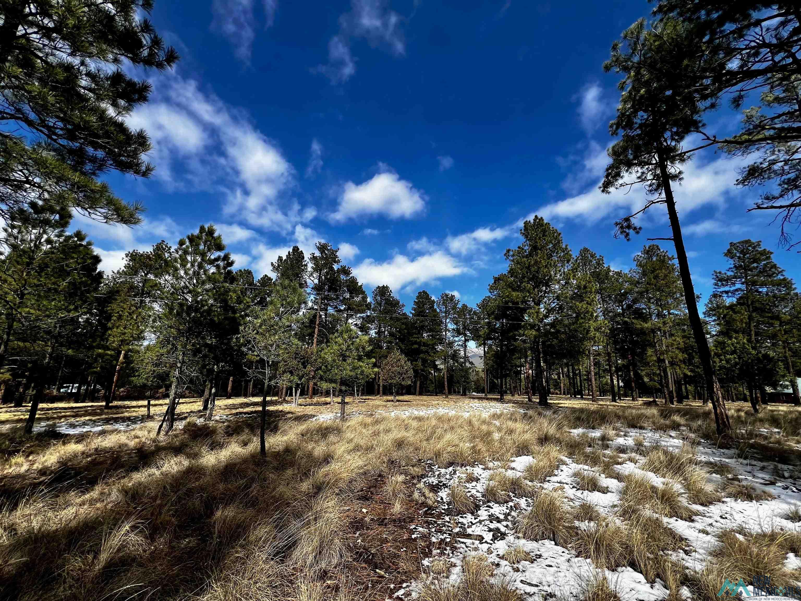 TBD Timber Lot16 Drive, Timberon, Texas image 3