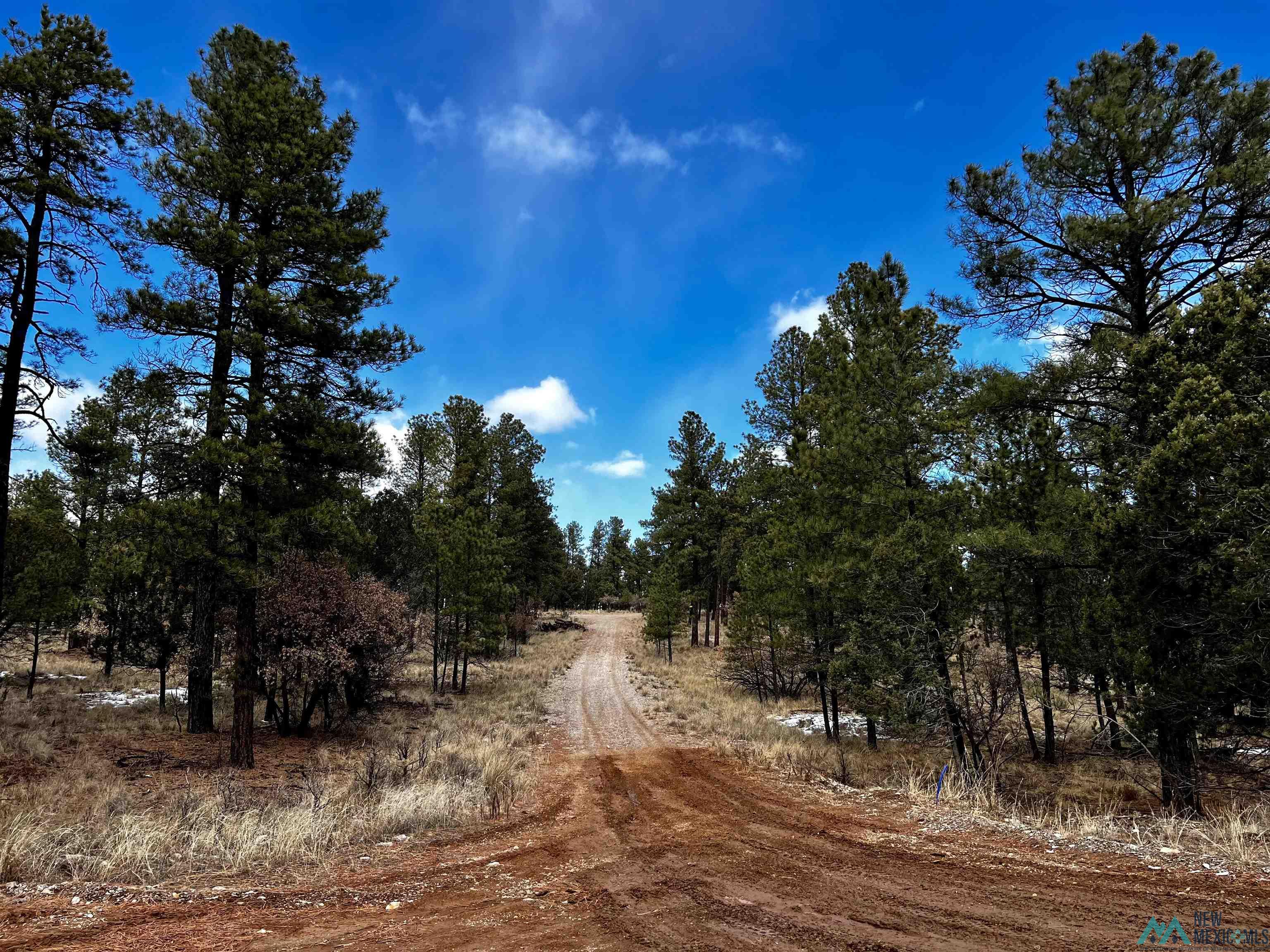 TBD Timber Lot16 Drive, Timberon, Texas image 1