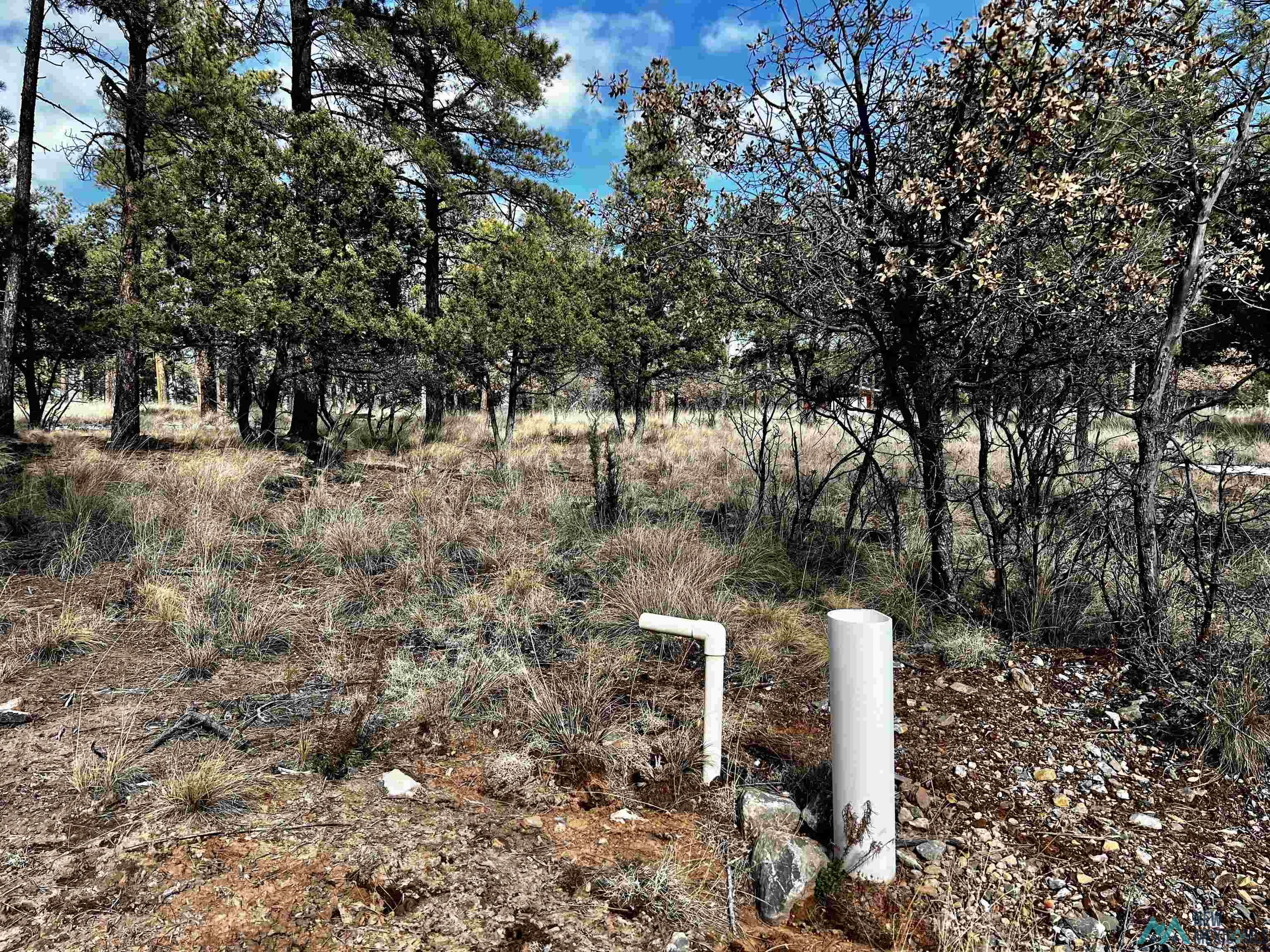 TBD Timber Lot16 Drive, Timberon, Texas image 5
