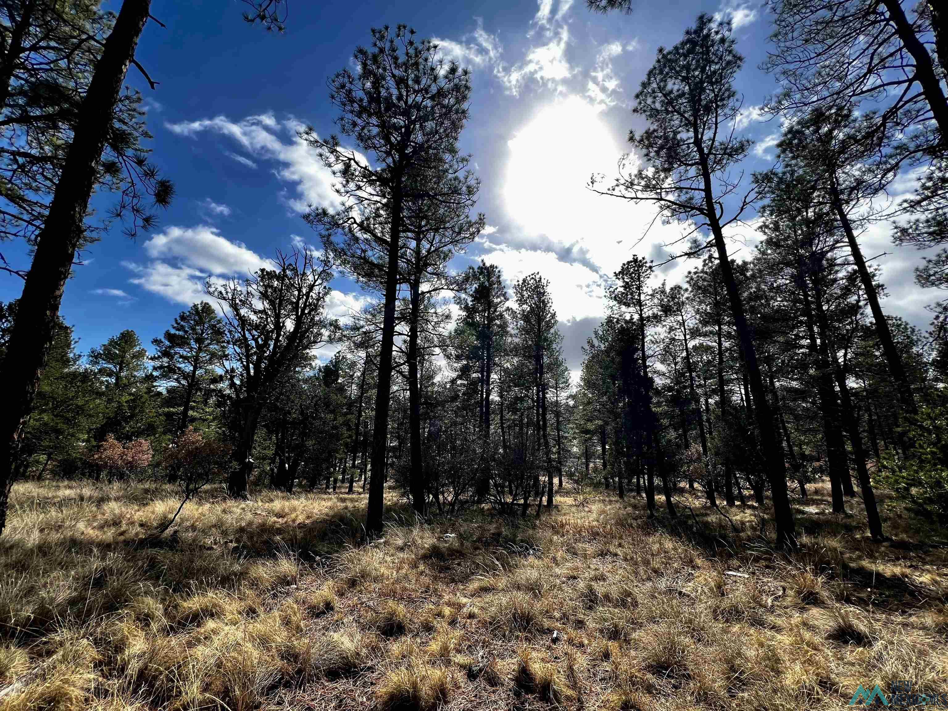 TBD Timber Lot16 Drive, Timberon, Texas image 6